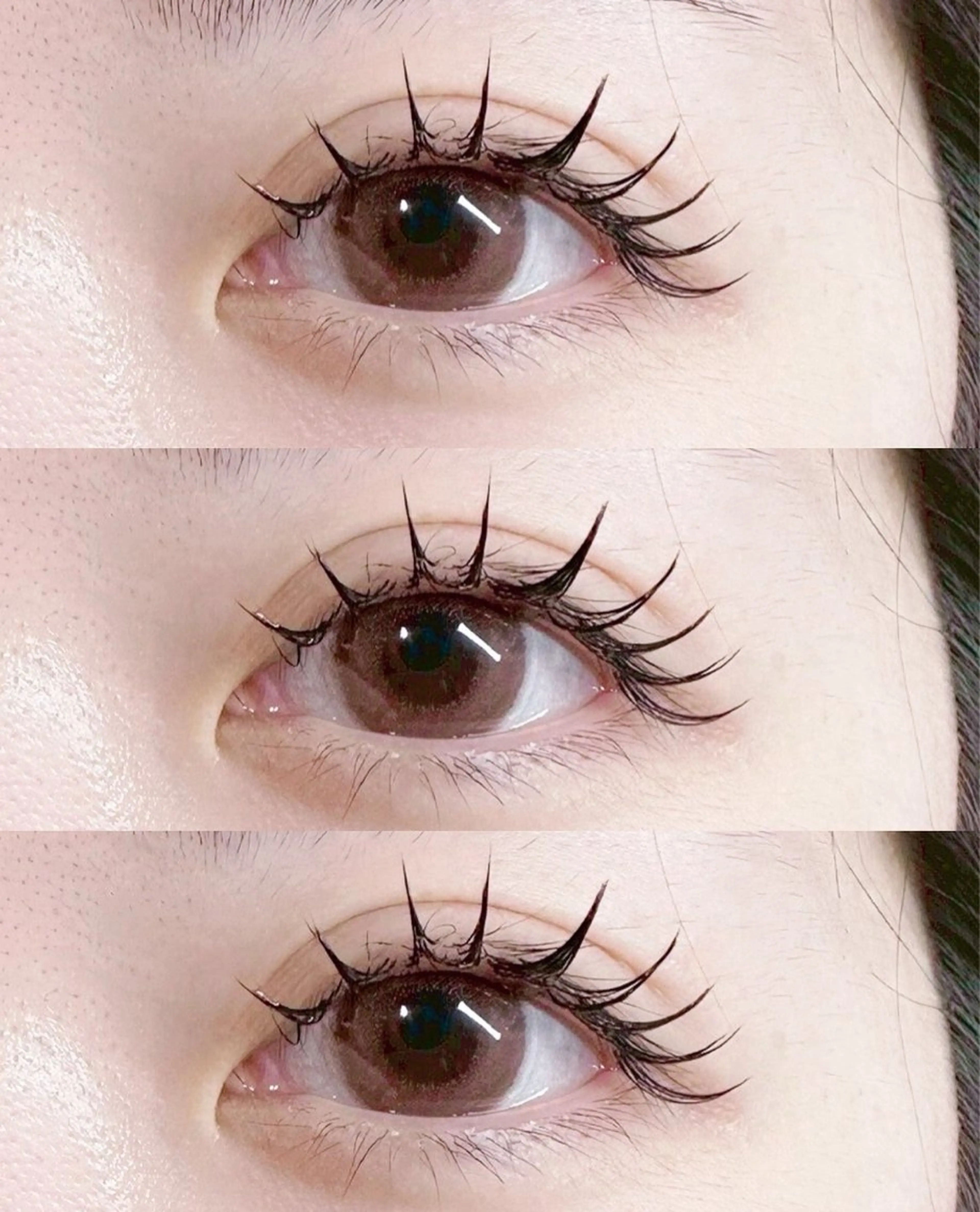 【学割👩‍🎓学生証必須】フラットラッシュ100本🎀コーティング仕上げ付き🫶の写真