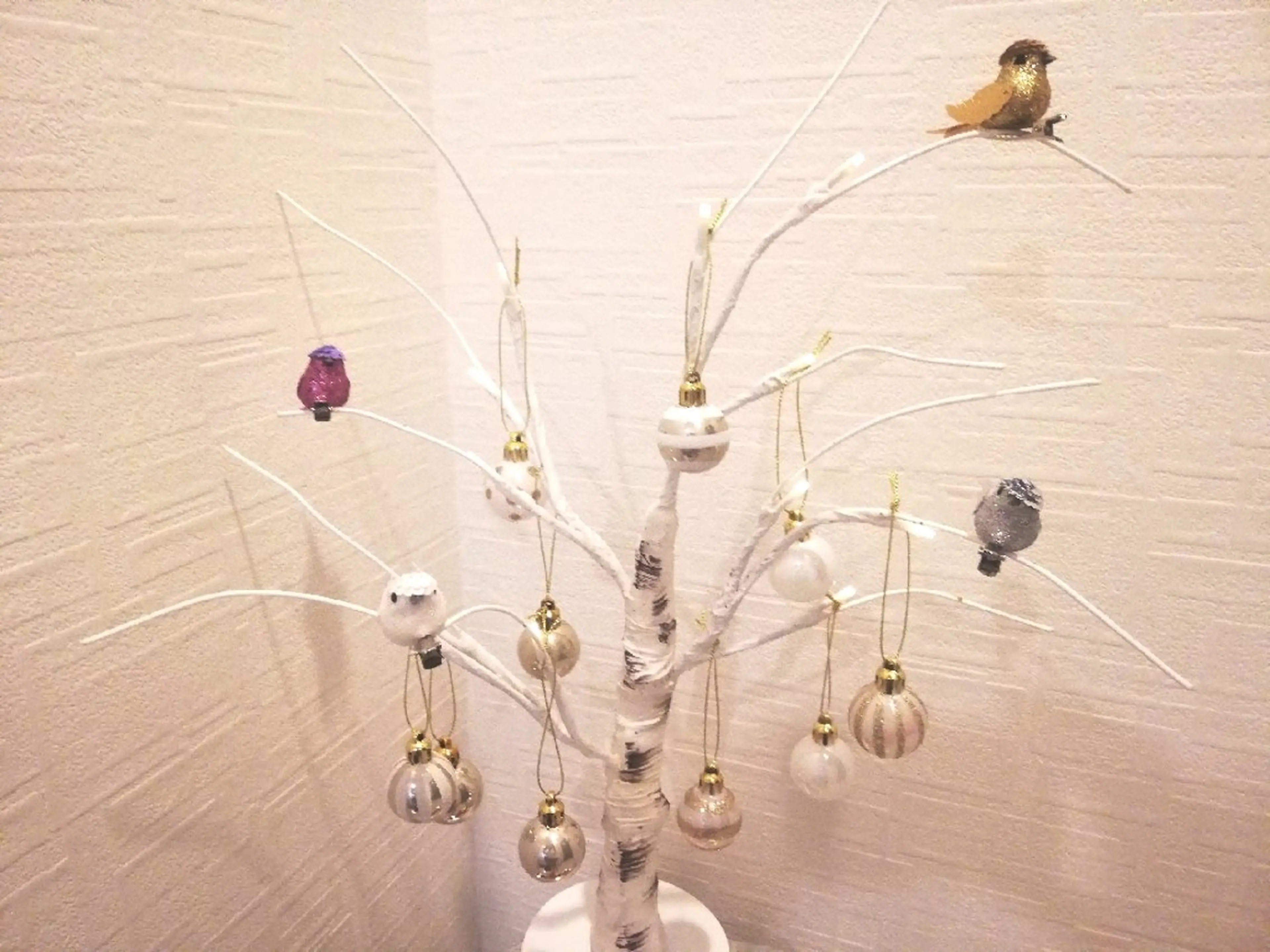 angelux 所属・完全個室サロン🌹 angelux🌹のマツエク・マツパデザイン