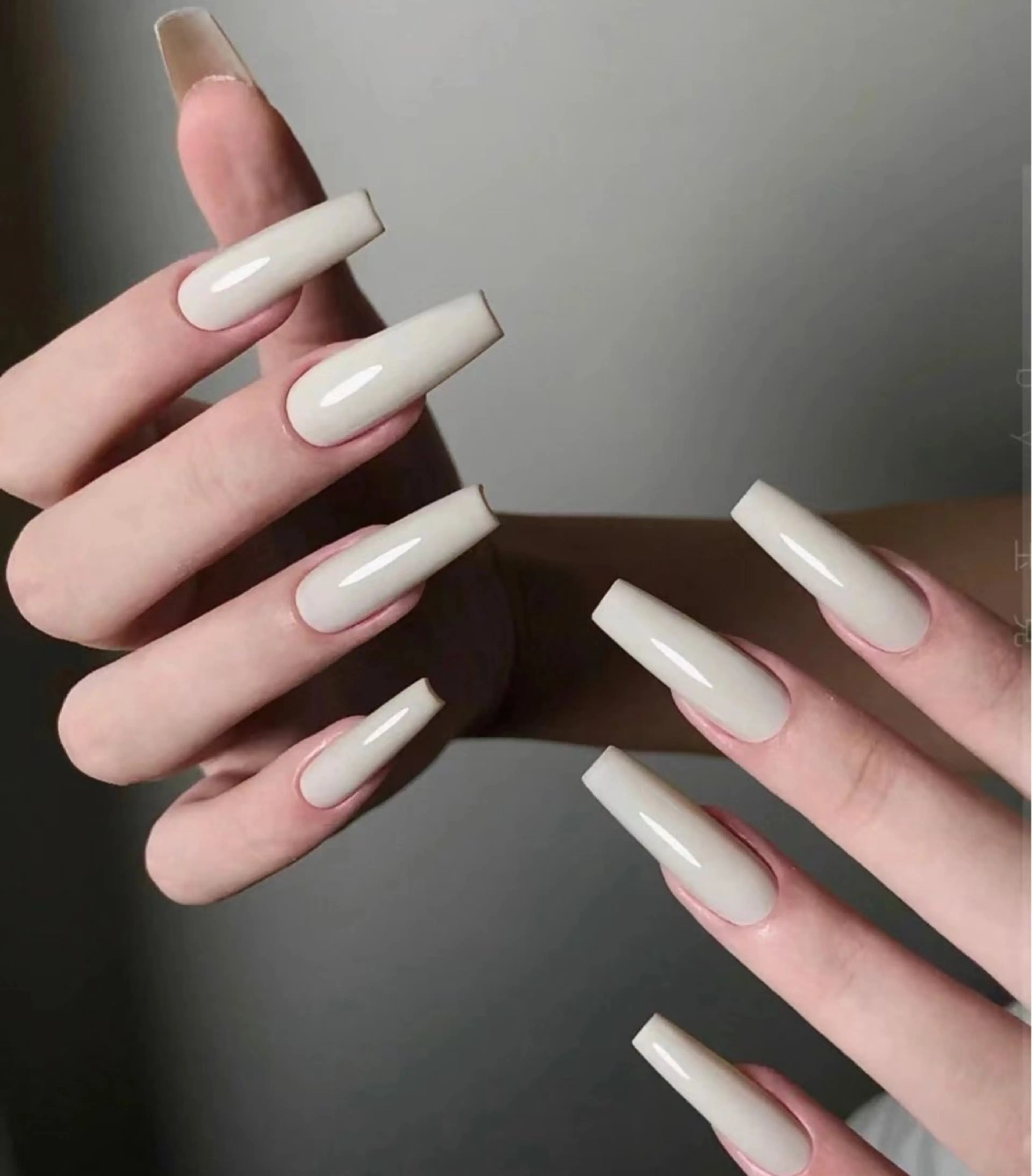 ワンカラー+ジェルスカルプの写真