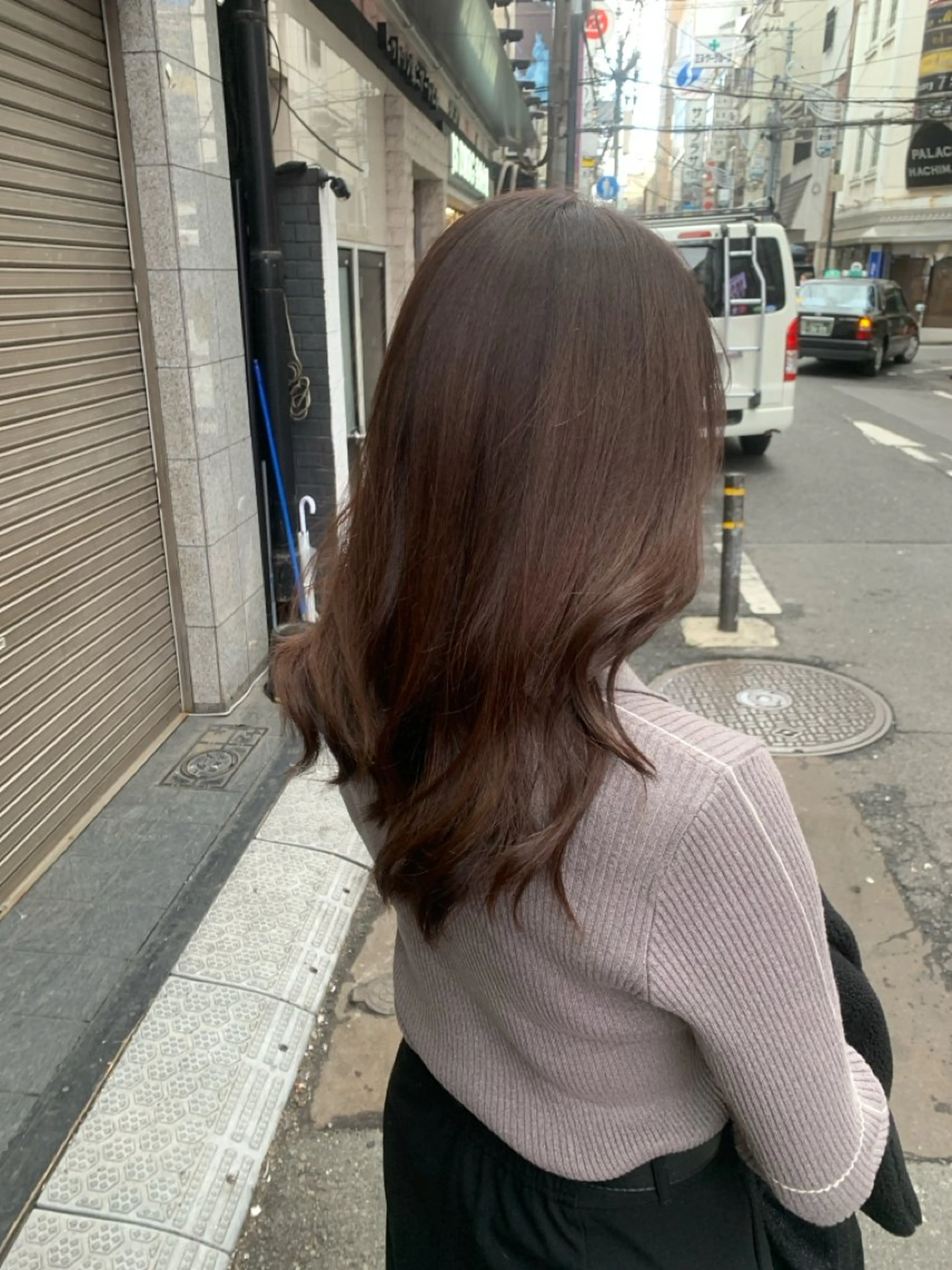 ミディアム 東心斎橋🌏豆柴 🐾倶楽部のヘアスタイル