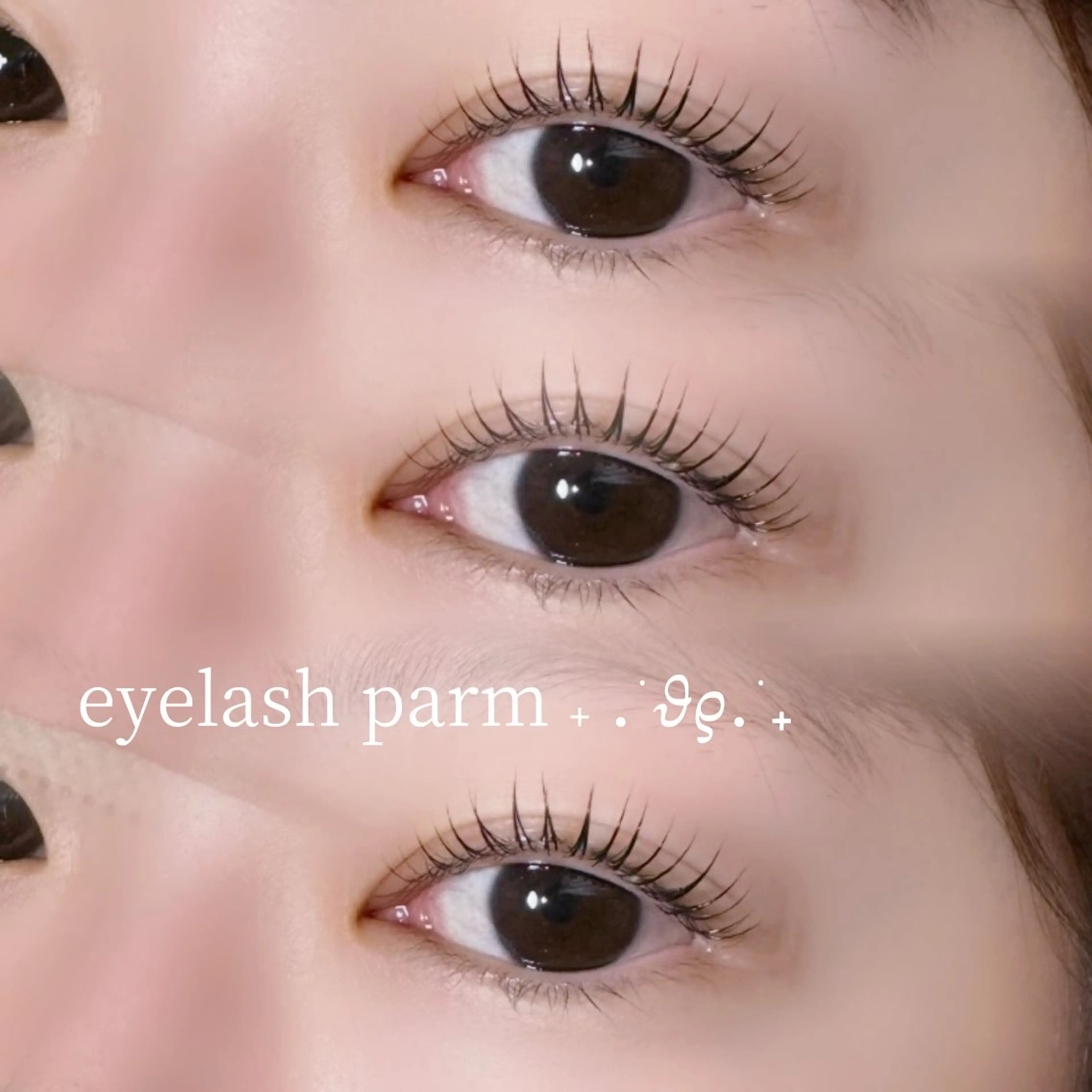 マツエク・マツパ Gallica表参道 ayameのマツエク・マツパデザイン