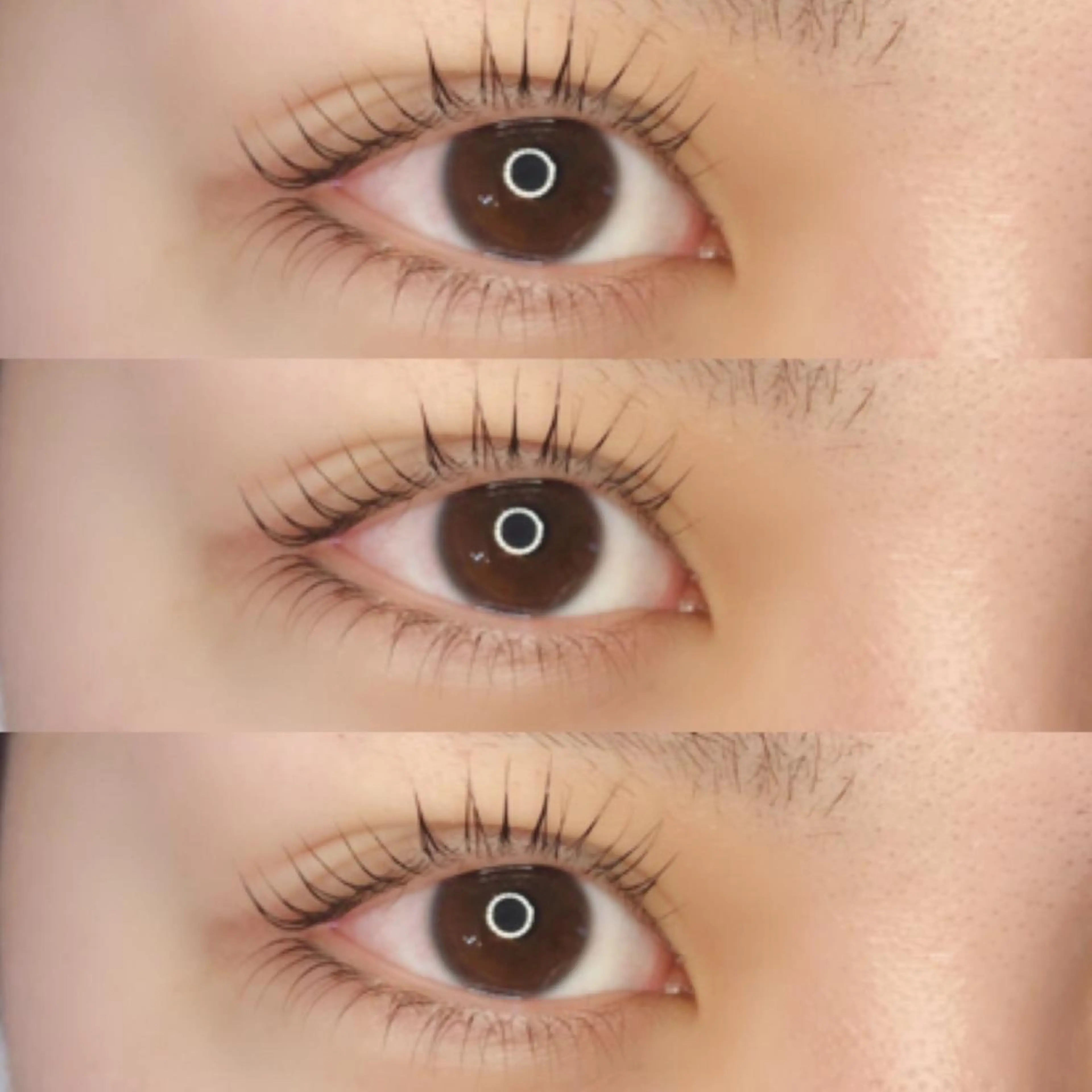 マツエク・マツパ 《eyelash ｉｉｔｅ》森のマツエク・マツパデザイン