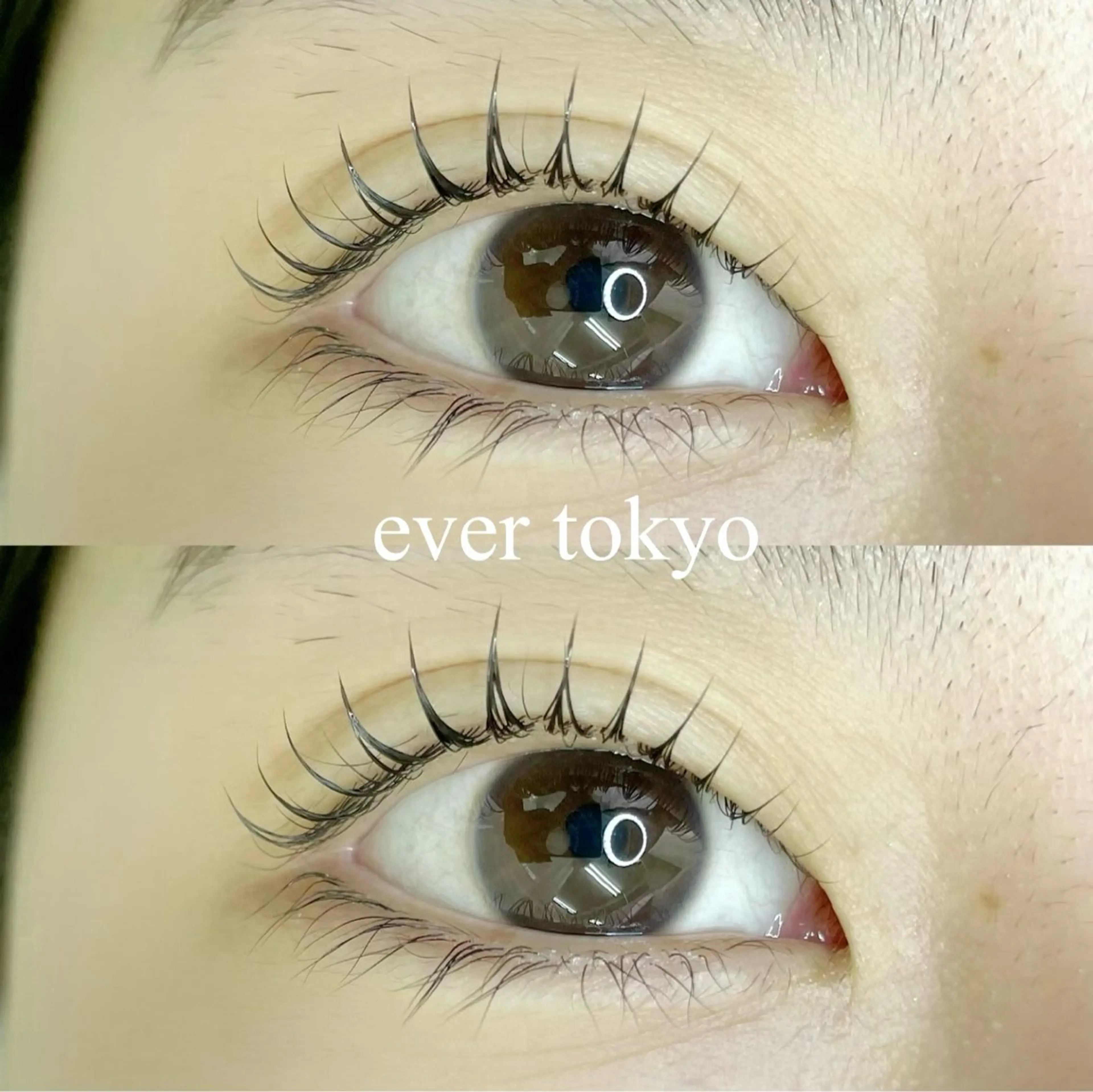 マツエク・マツパ Dカール alicetokyo 天神店のマツエク・マツパデザイン