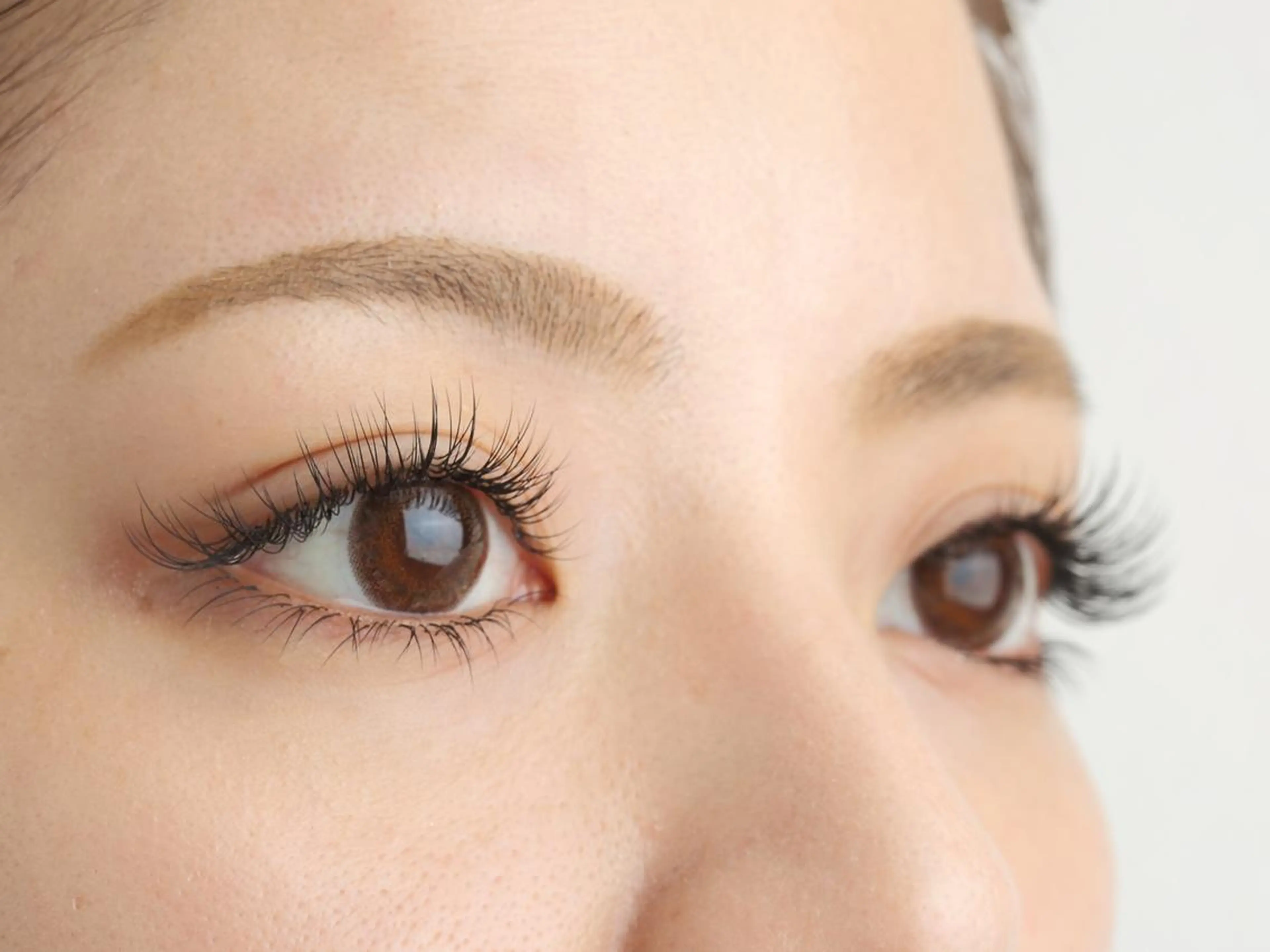 マツエク・マツパ フラットラッシュ セーブル シルク ニコット　ラッシュ 神戸三宮店のマツエク・マツパデザイン