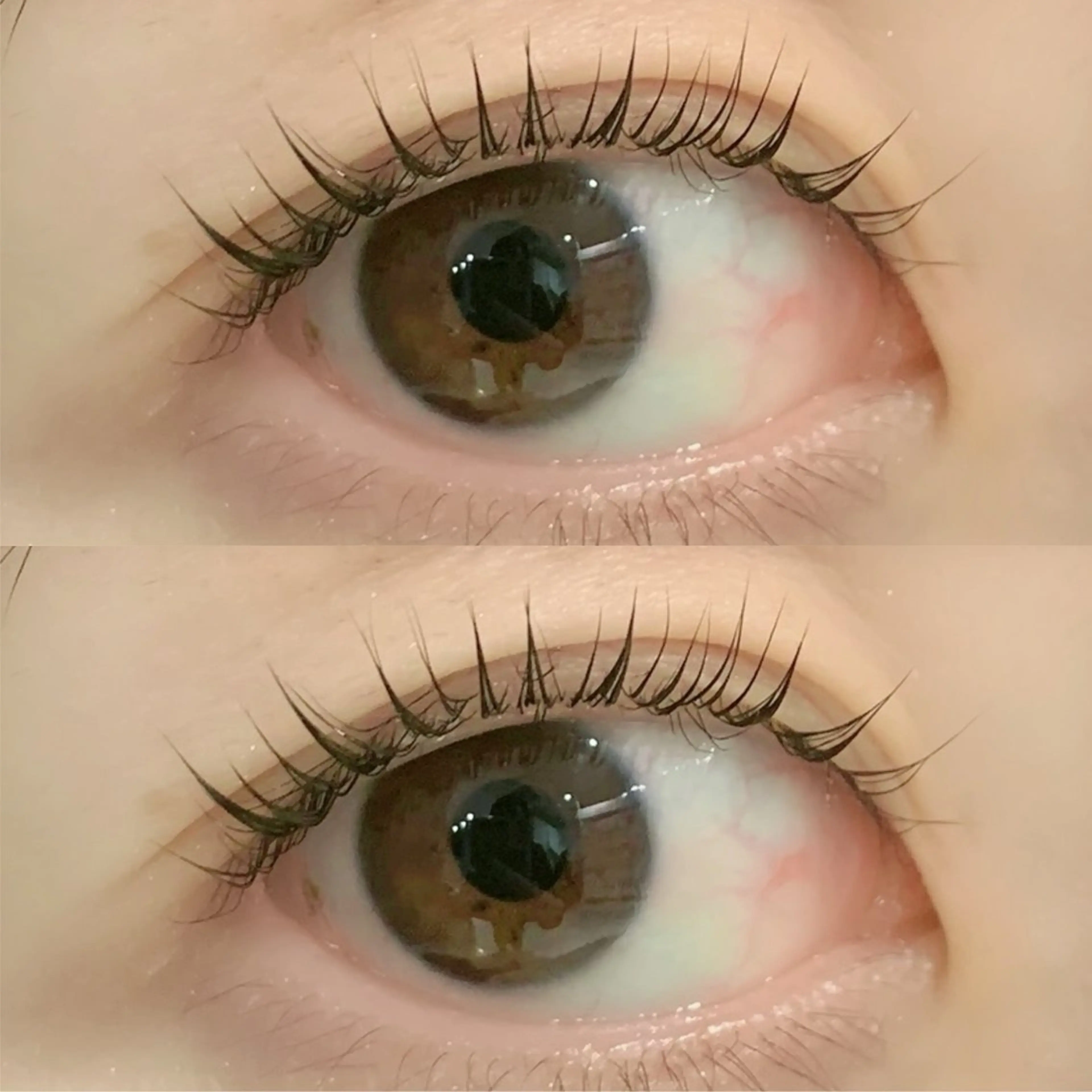 マツエク・マツパ Jessica 森のマツエク・マツパデザイン