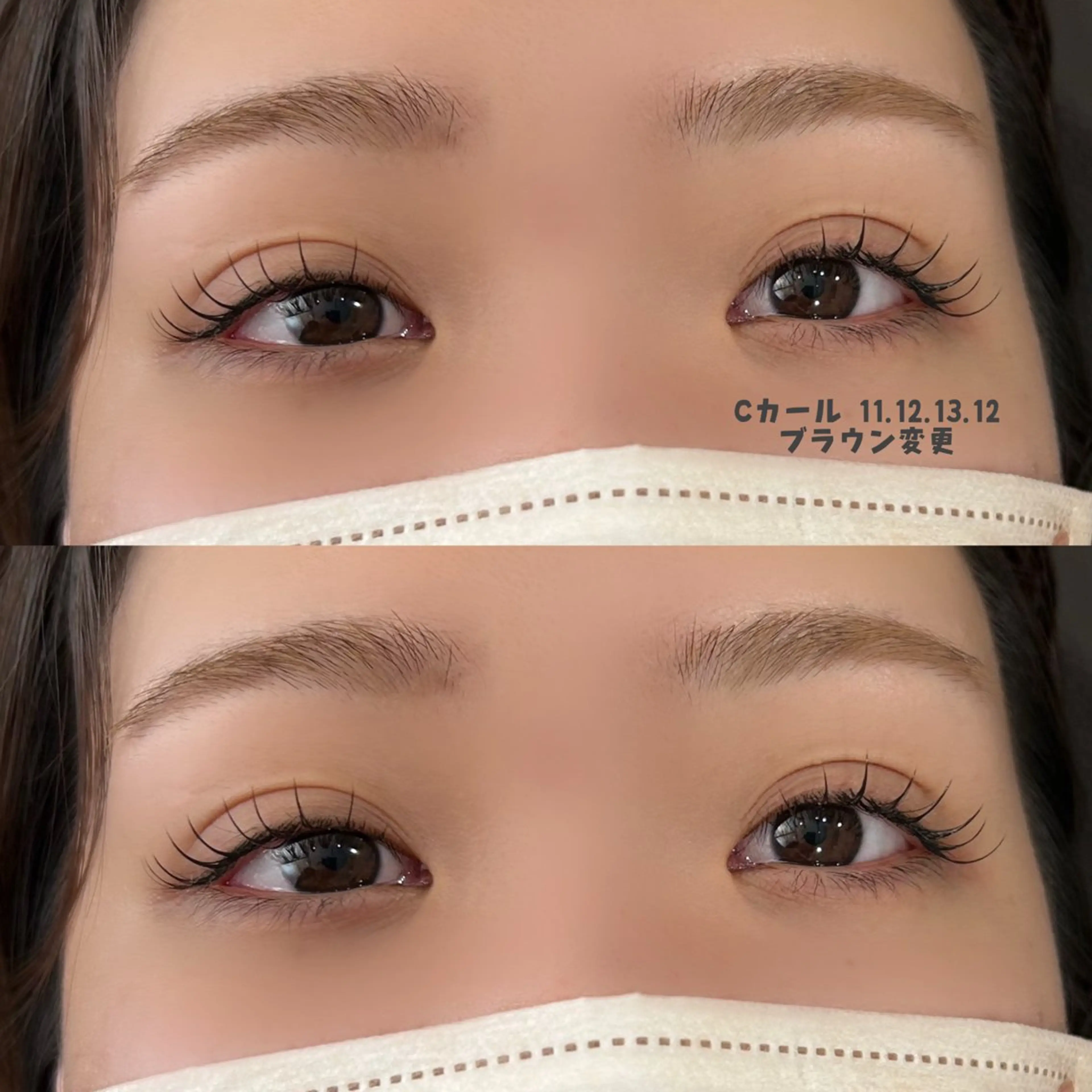 フラットラッシュ100本の写真