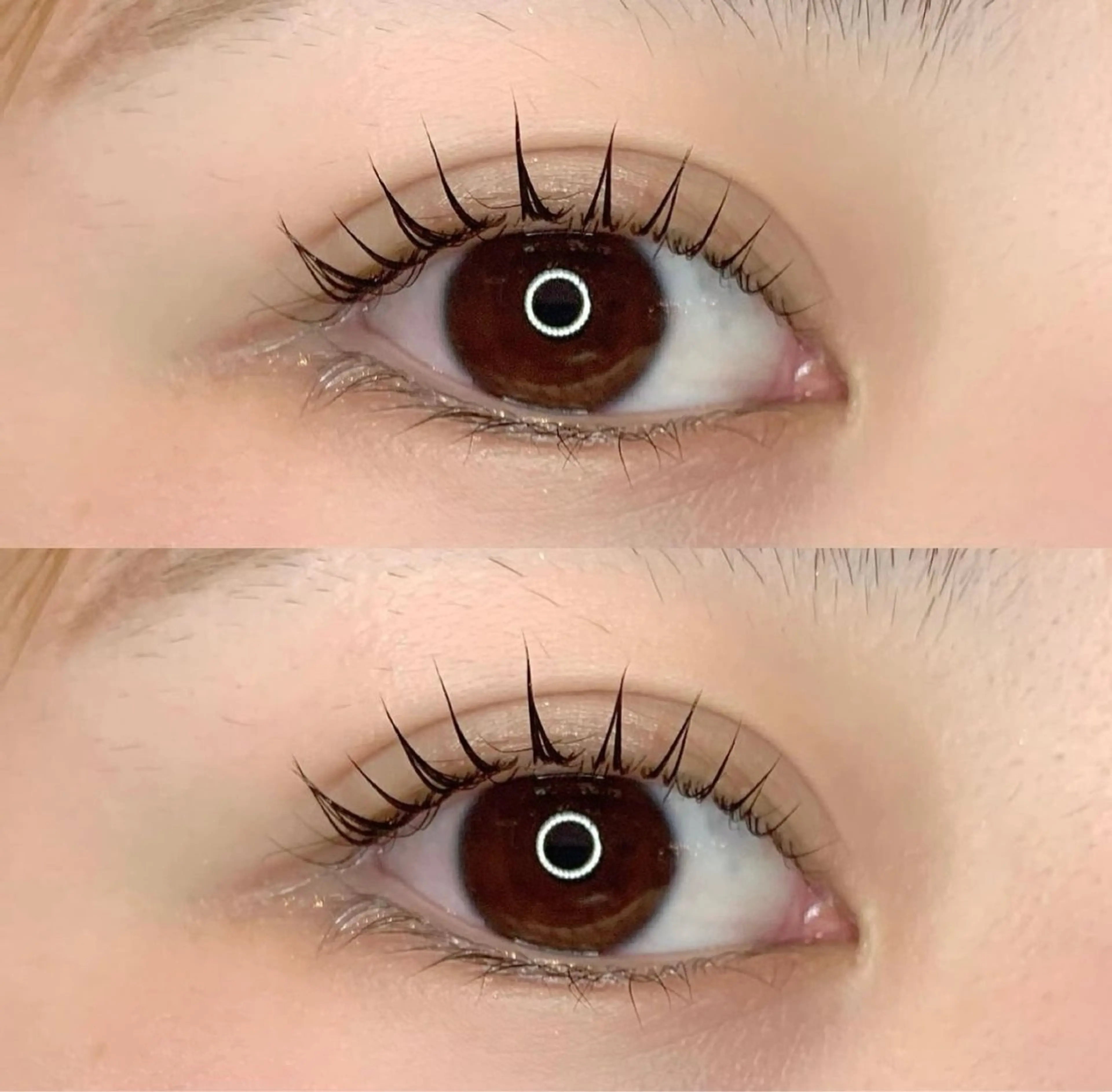 マツエク・マツパ マツパ nowy所属・eyelash✨ 『nowy』渋谷のマツエク・マツパデザイン