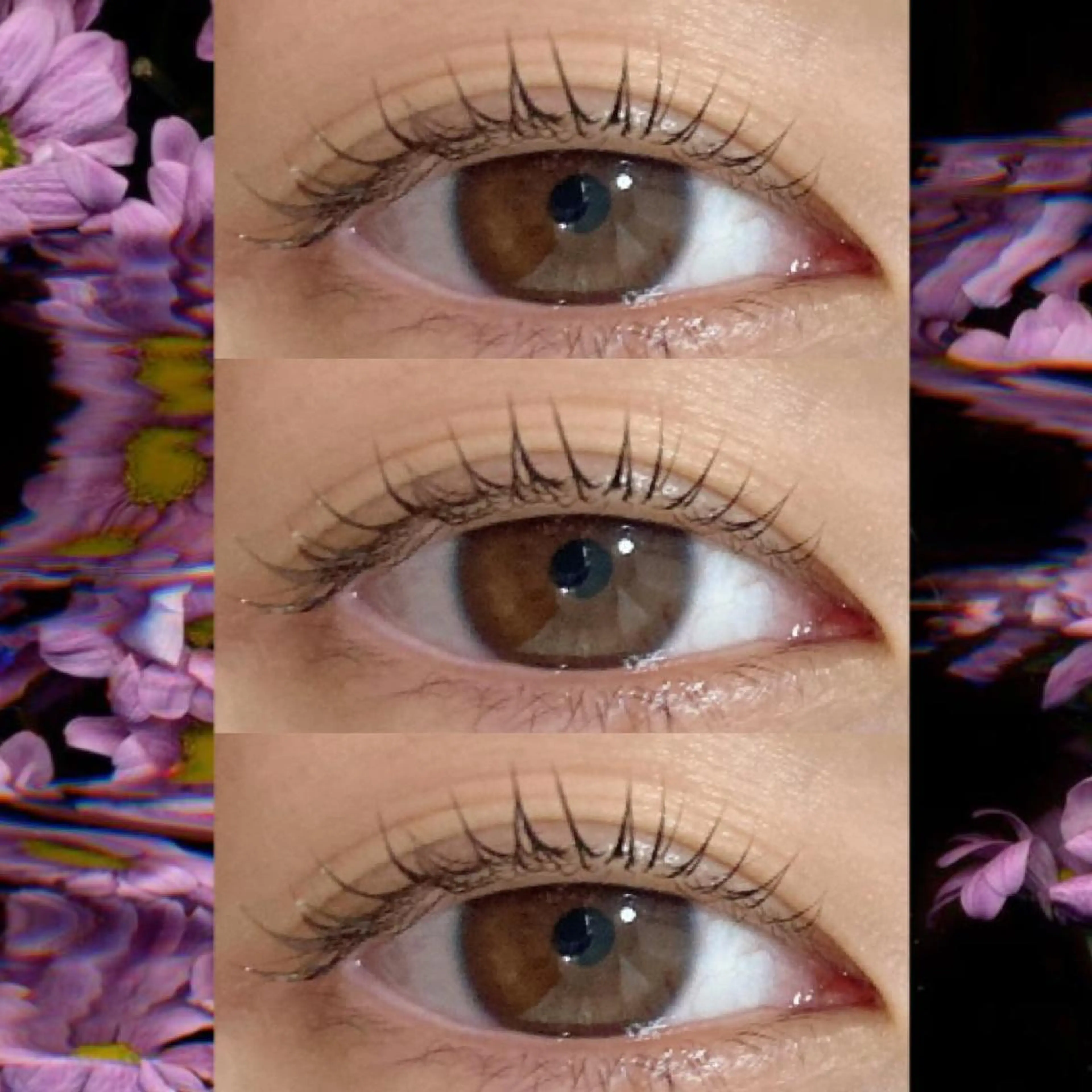 マツエク・マツパ ブラウンラッシュ カラーマツエク フラットラッシュ 韓国風マツエク まつげパーマ orihara𐙚 まつげパーマ/眉毛のマツエク・マツパデザイン