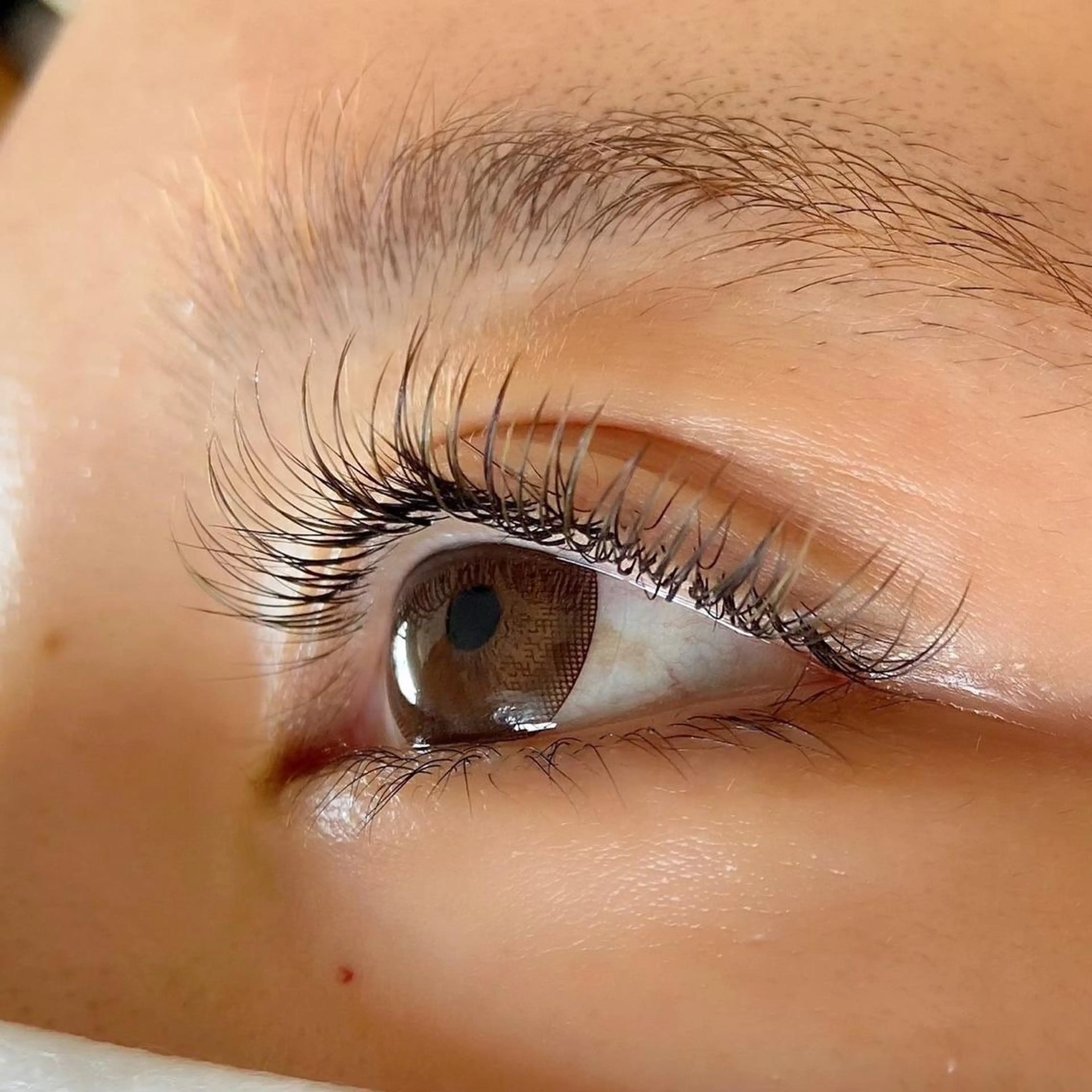 マツエク・マツパ 【LEGA 志木】 Kodamaのマツエク・マツパデザイン