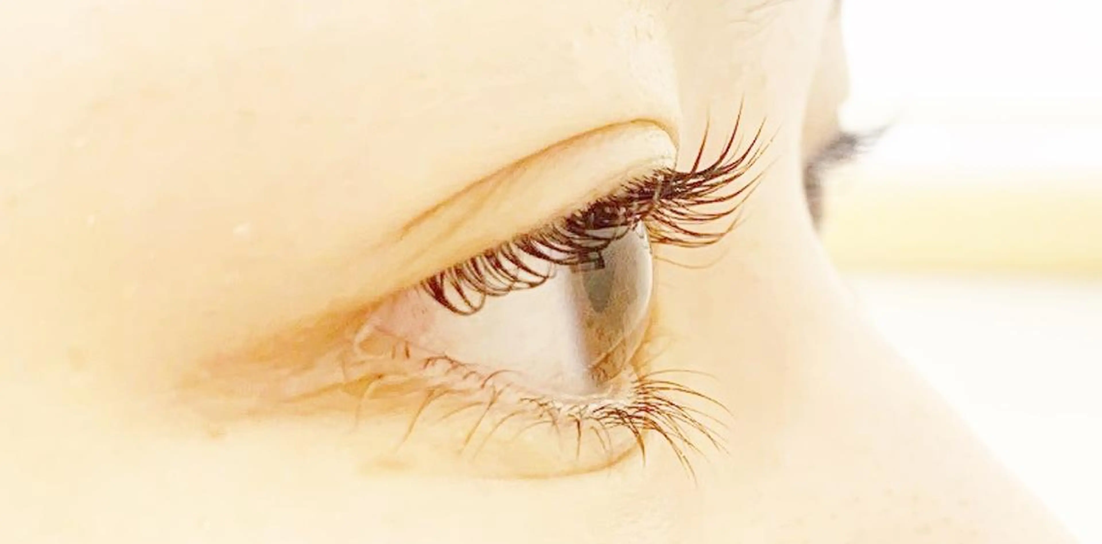 マツエク・マツパ マツパ 佐藤 詩織のマツエク・マツパデザイン