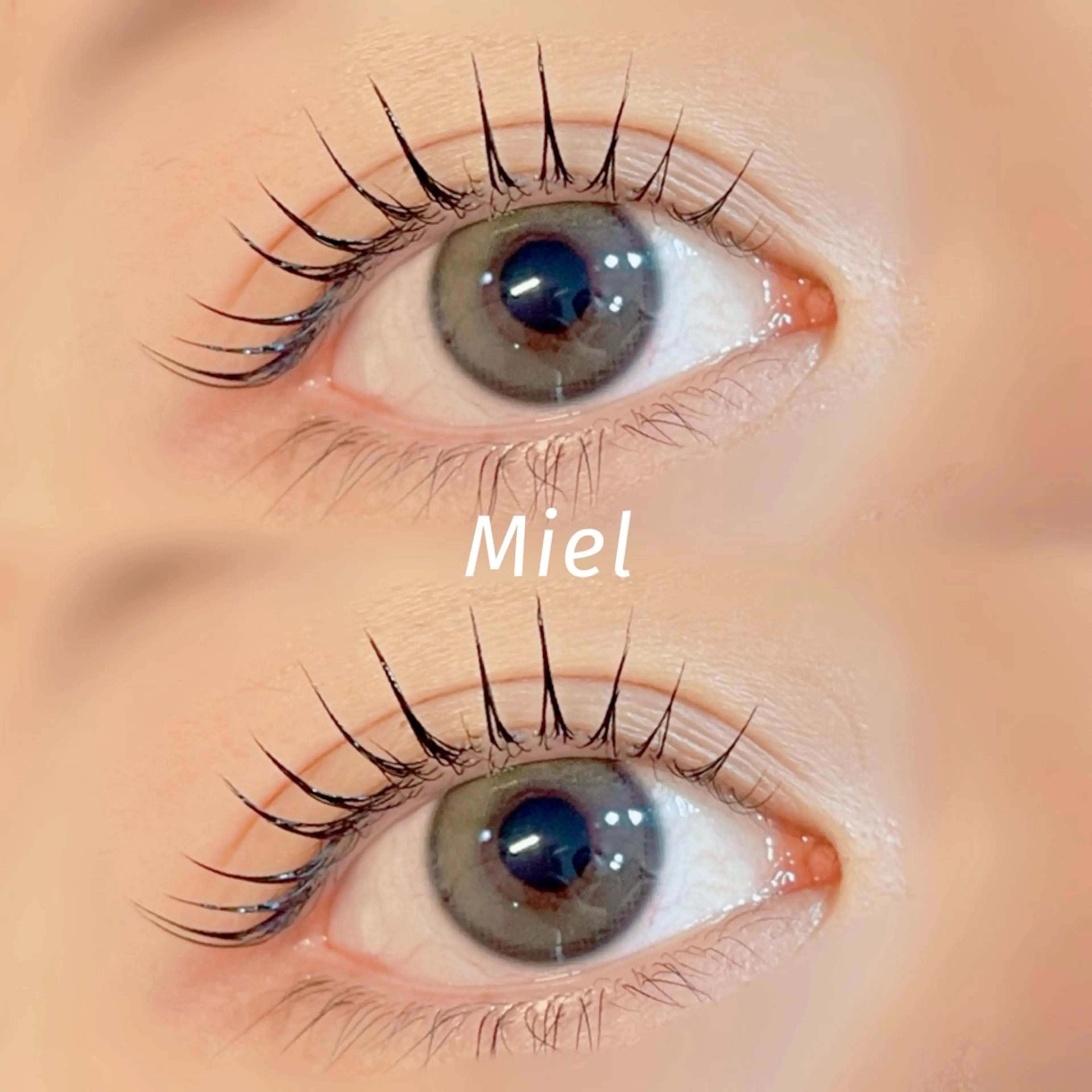 マツエク・マツパ まつげパーマ Mori ✨Mystical✨のマツエク・マツパデザイン