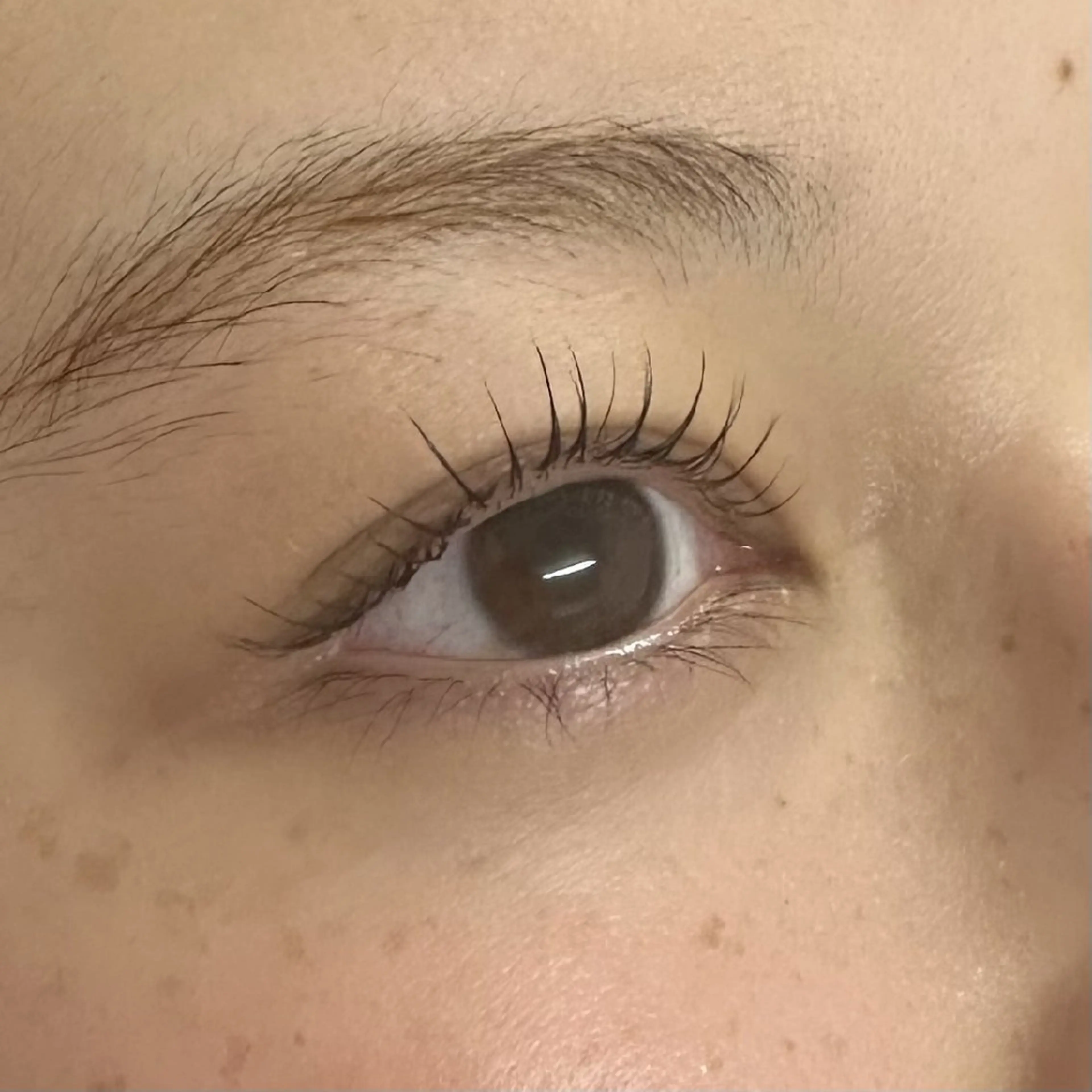 マツエク・マツパ on .のマツエク・マツパデザイン