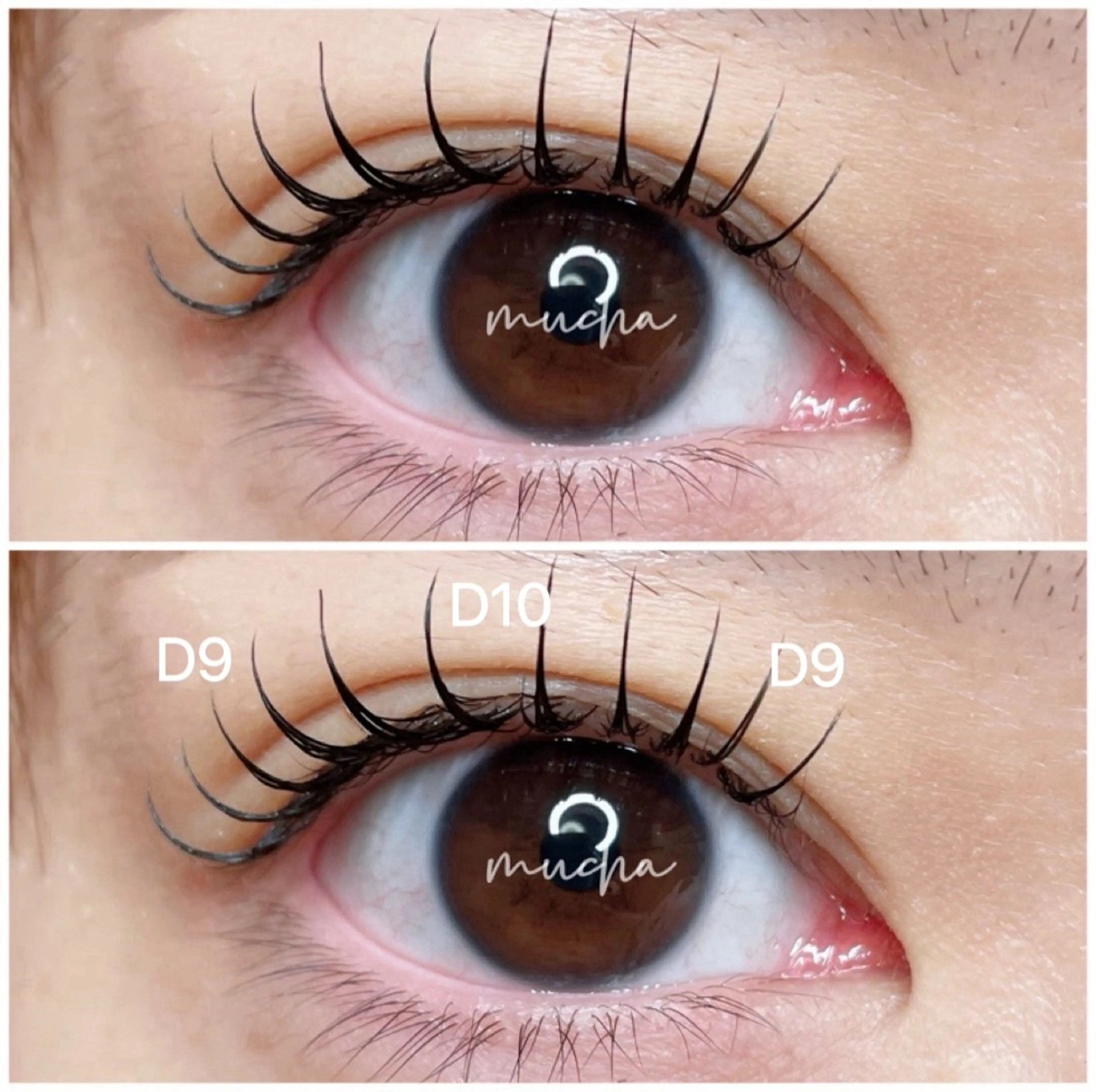 マツエク・マツパ Dカール フラットラッシュ マツエク eyelash muchaのマツエク・マツパデザイン