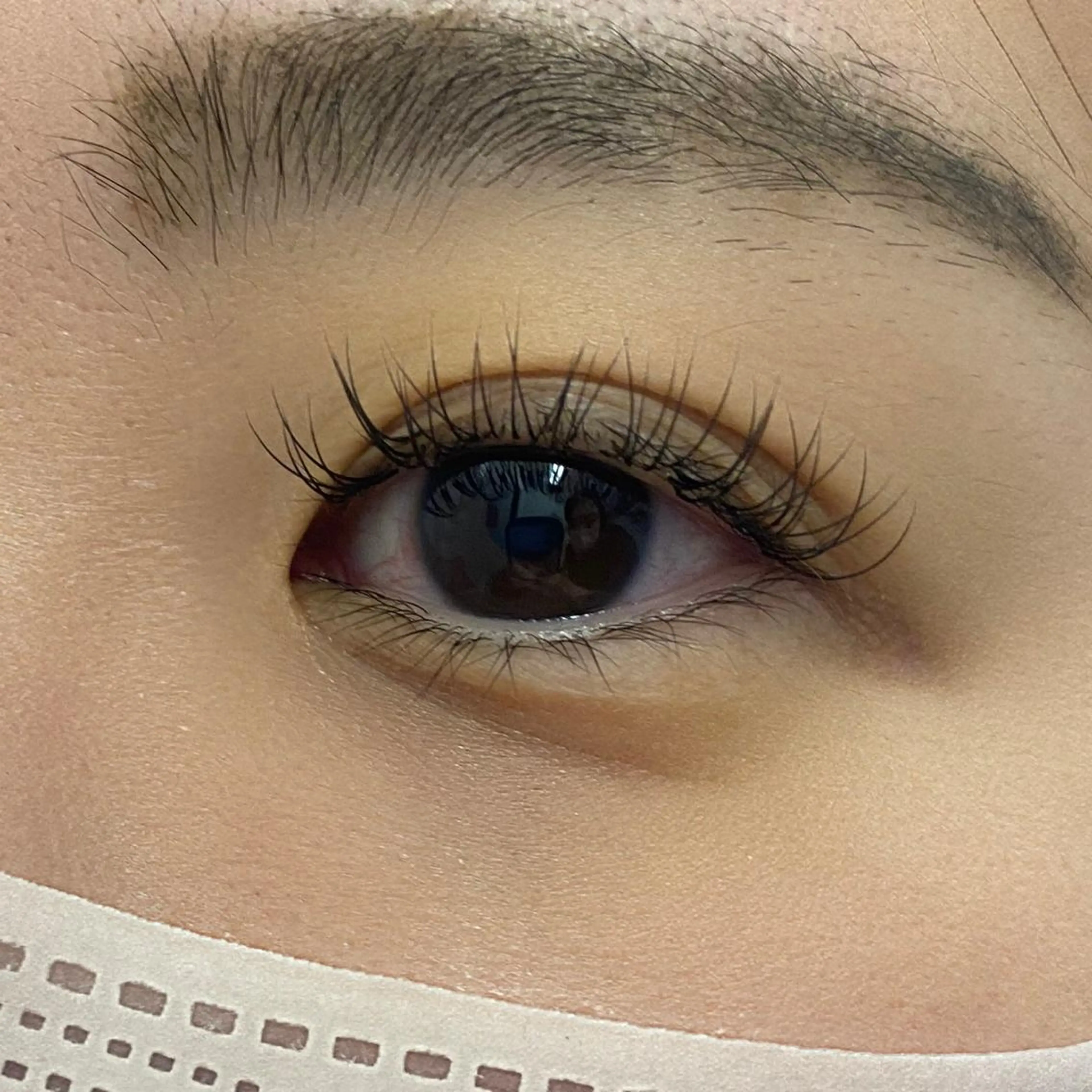 マツエク・マツパ Cカール Dカール Miyu🦄ash メンズカット/まつげのヘアスタイル