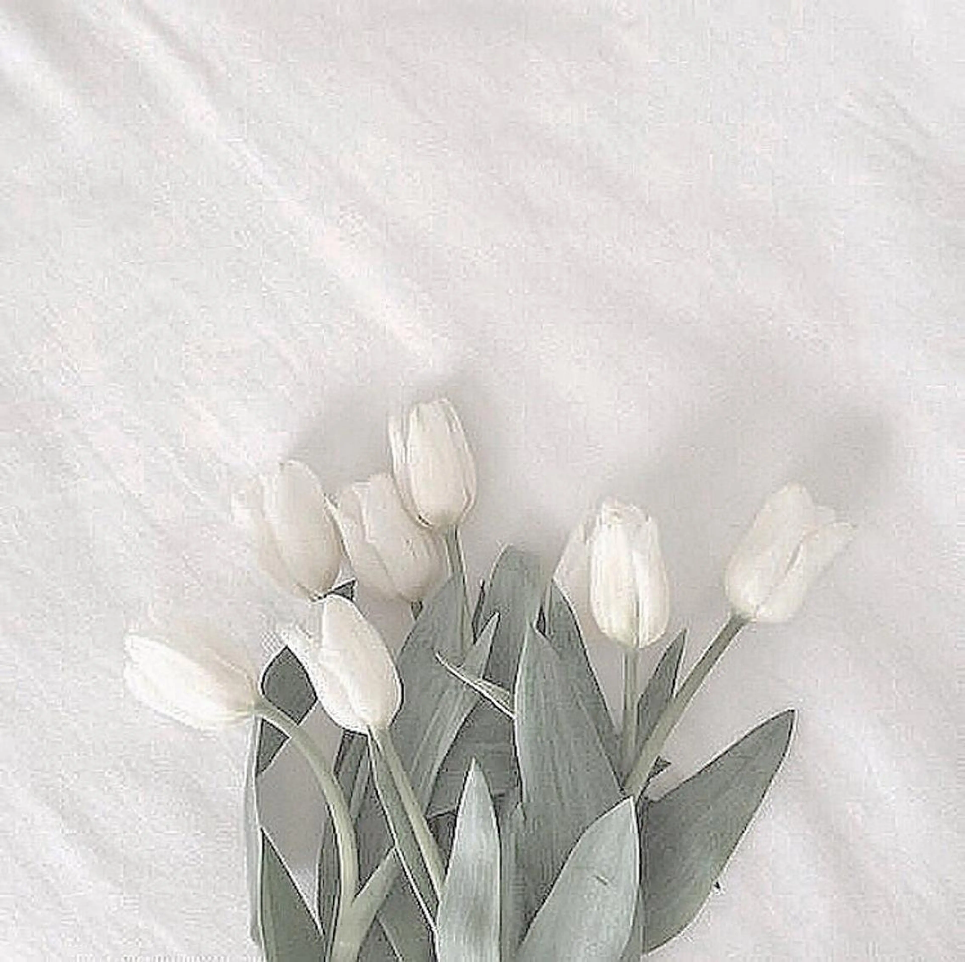 まつげパーマ🌿コーティング付き🌸の写真