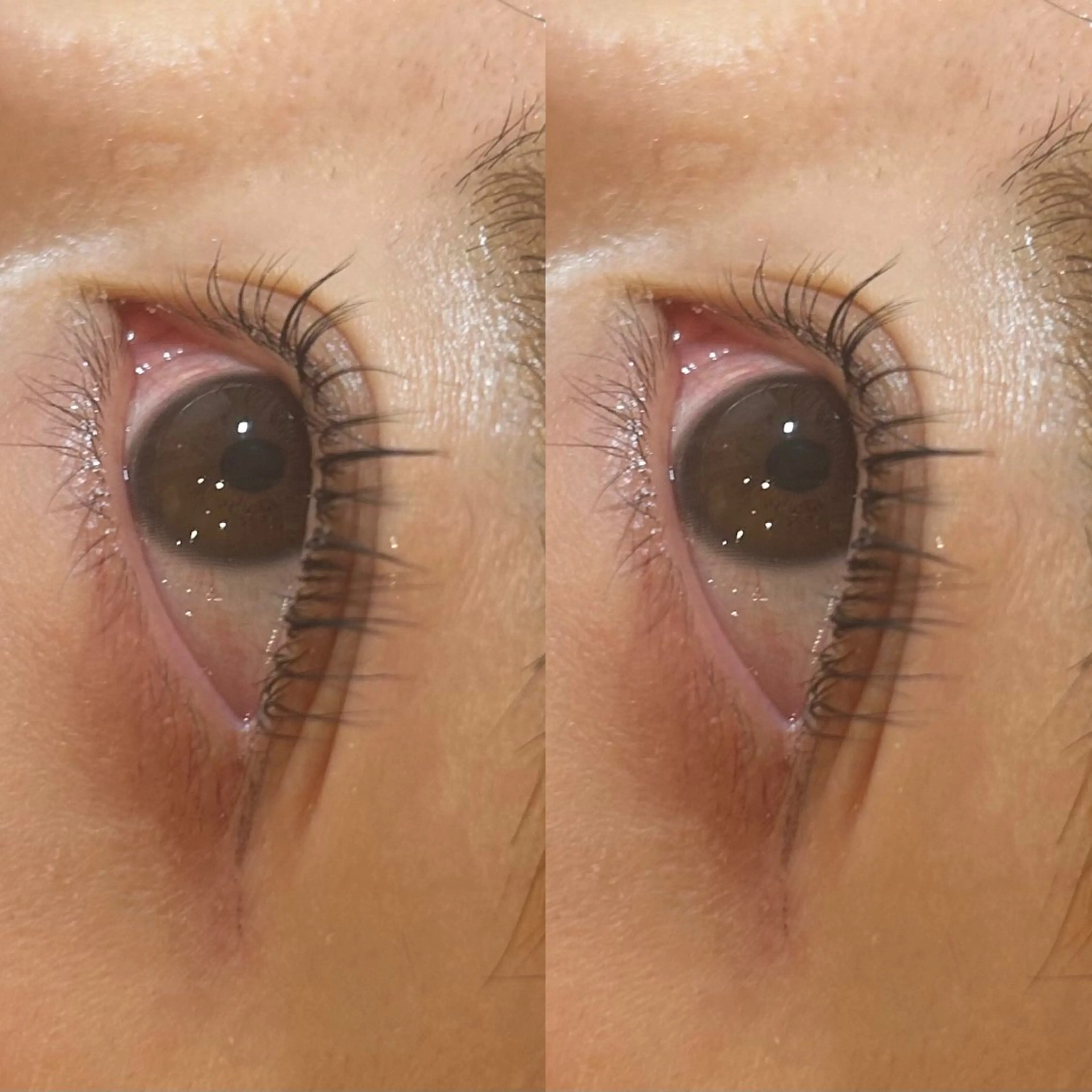 マツエク・マツパ パリジェンヌラッシュリフト eye candy 🩵honokaのマツエク・マツパデザイン