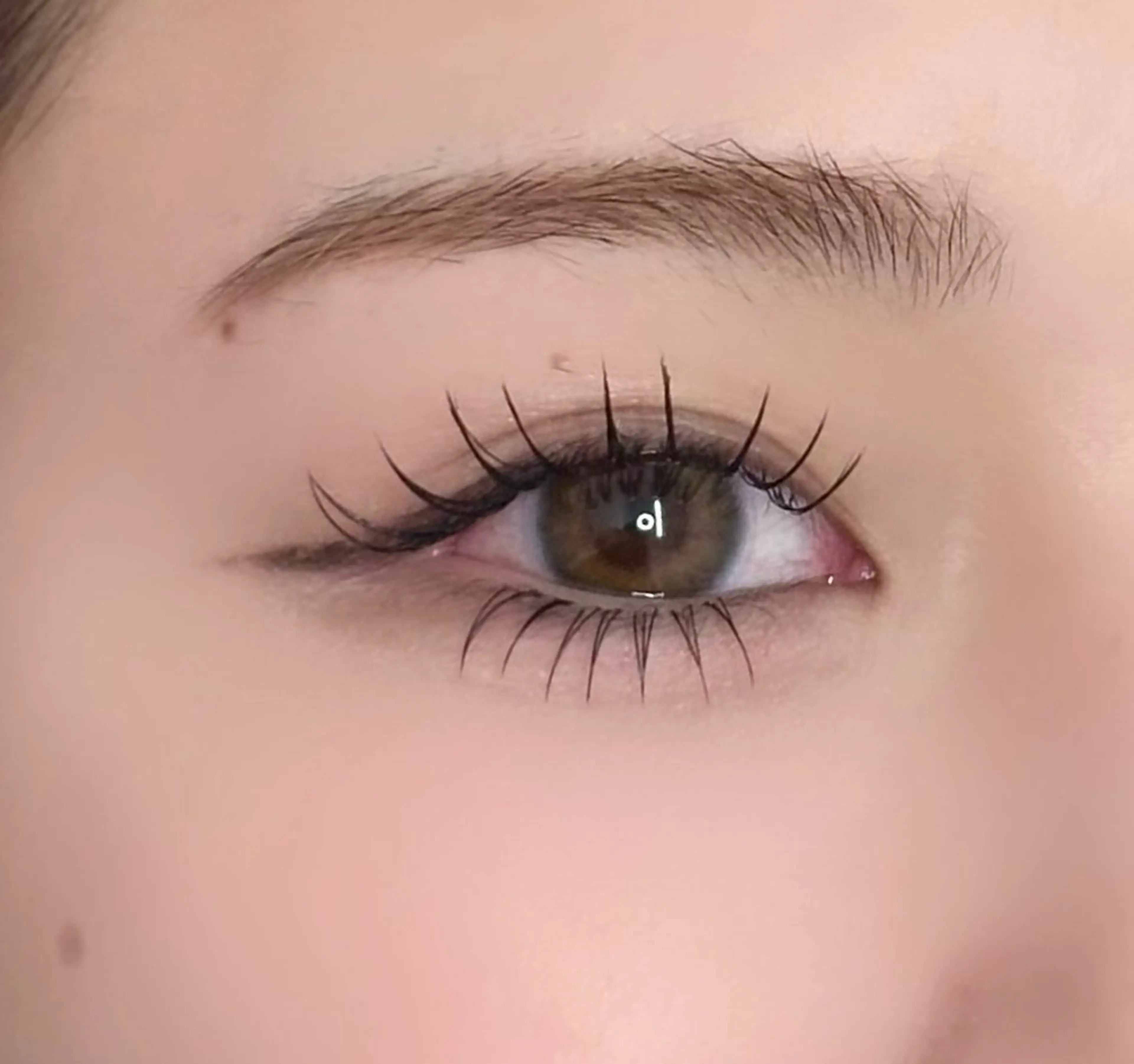 11月限定‼︎下まつ毛エクステ　​〜​40本の写真