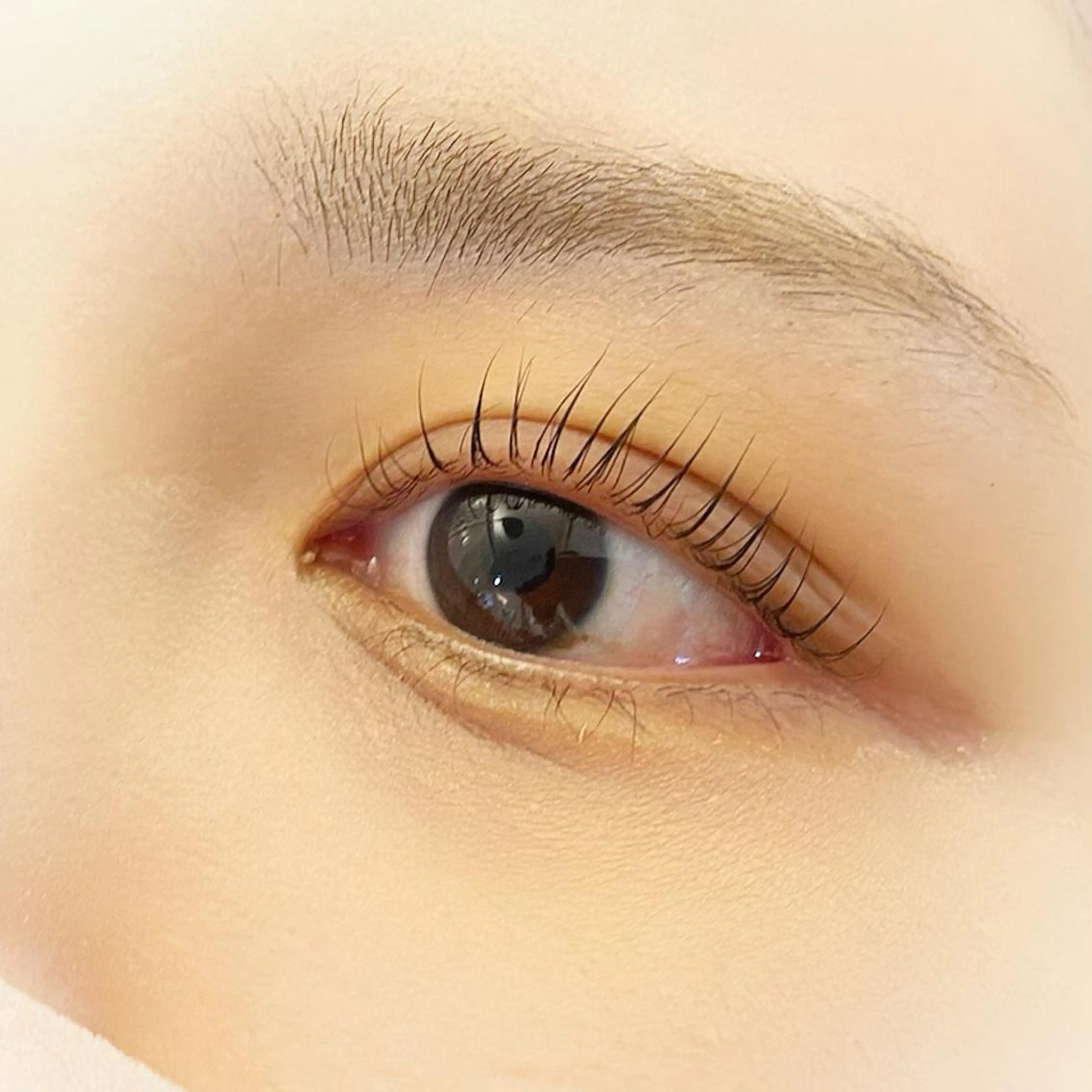 マツエク・マツパ ビューティーサロンメイリー所属・ビューティーサロン Meilyの眉毛・アイブロウイメージ