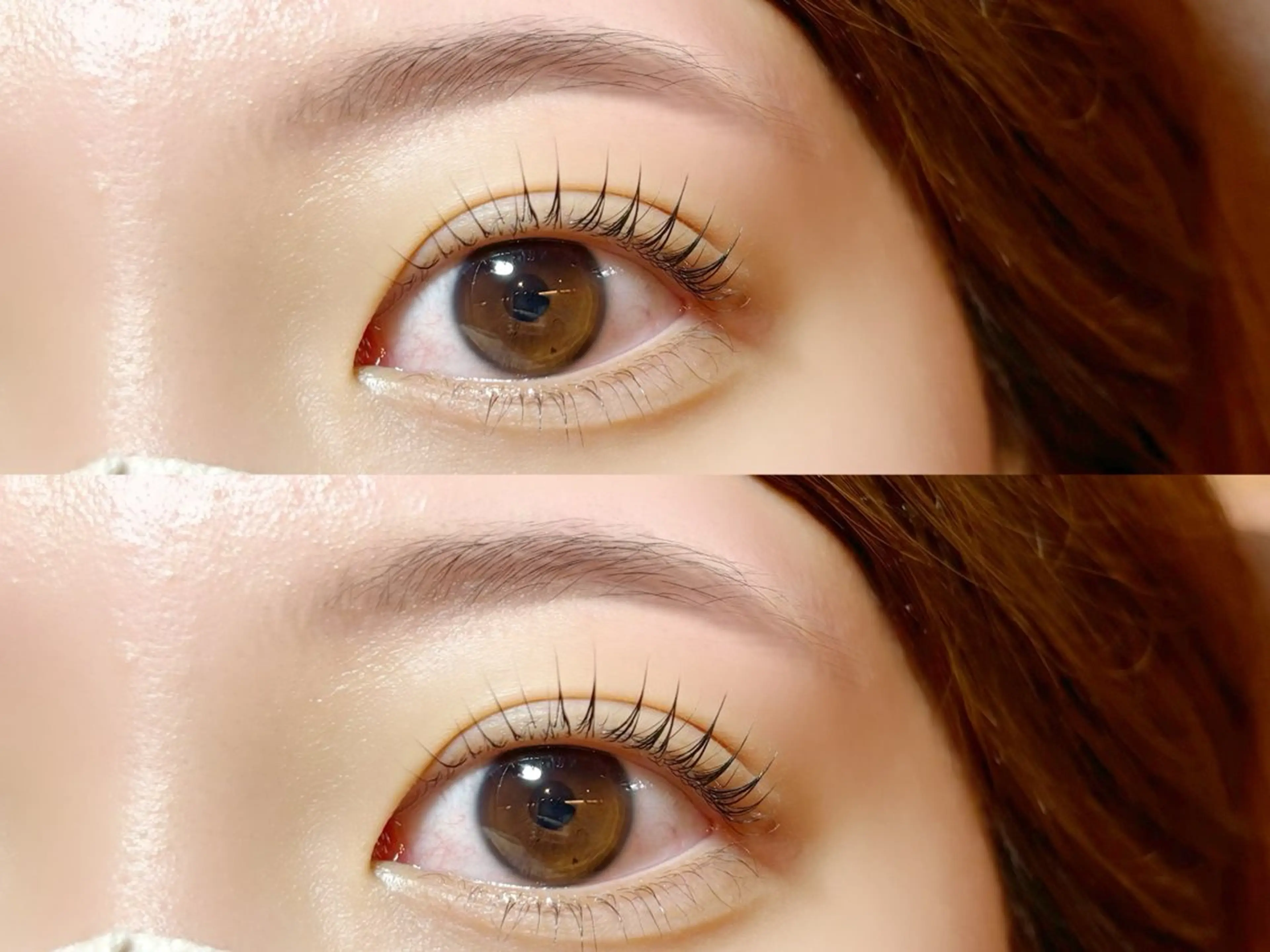 🉐 ラッシュリフト×アイブロウwax🧸♥︎´‐の写真