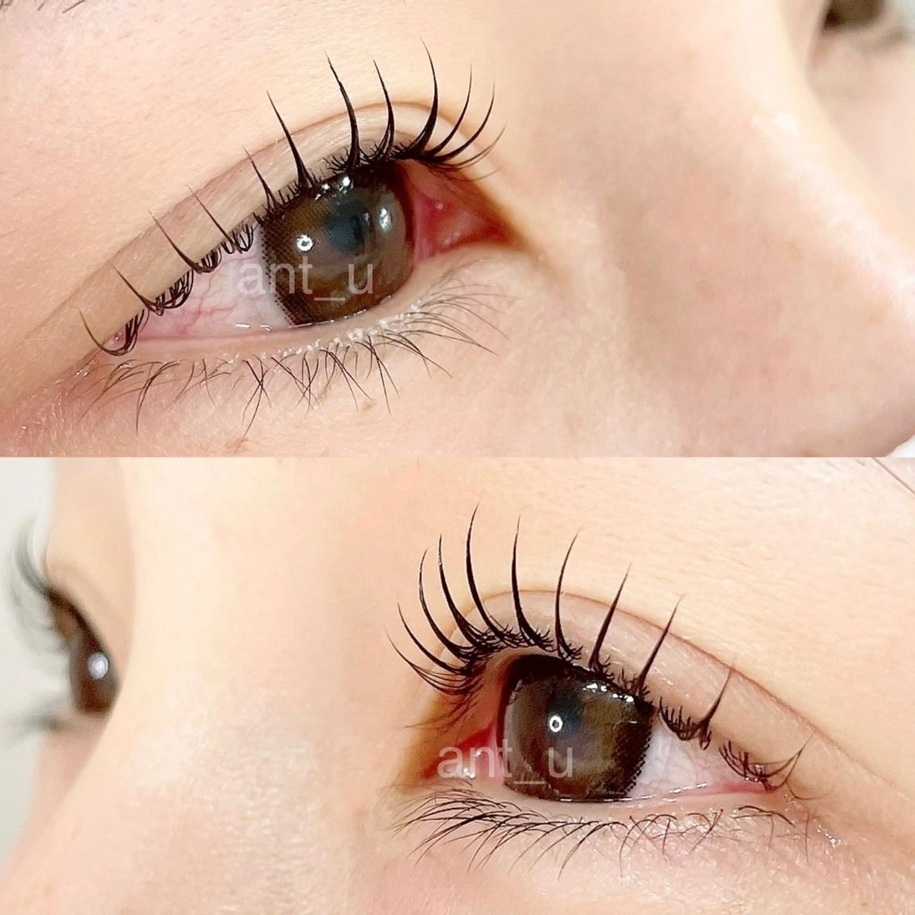 マツエク・マツパ ant_u🌷 arisaのマツエク・マツパデザイン