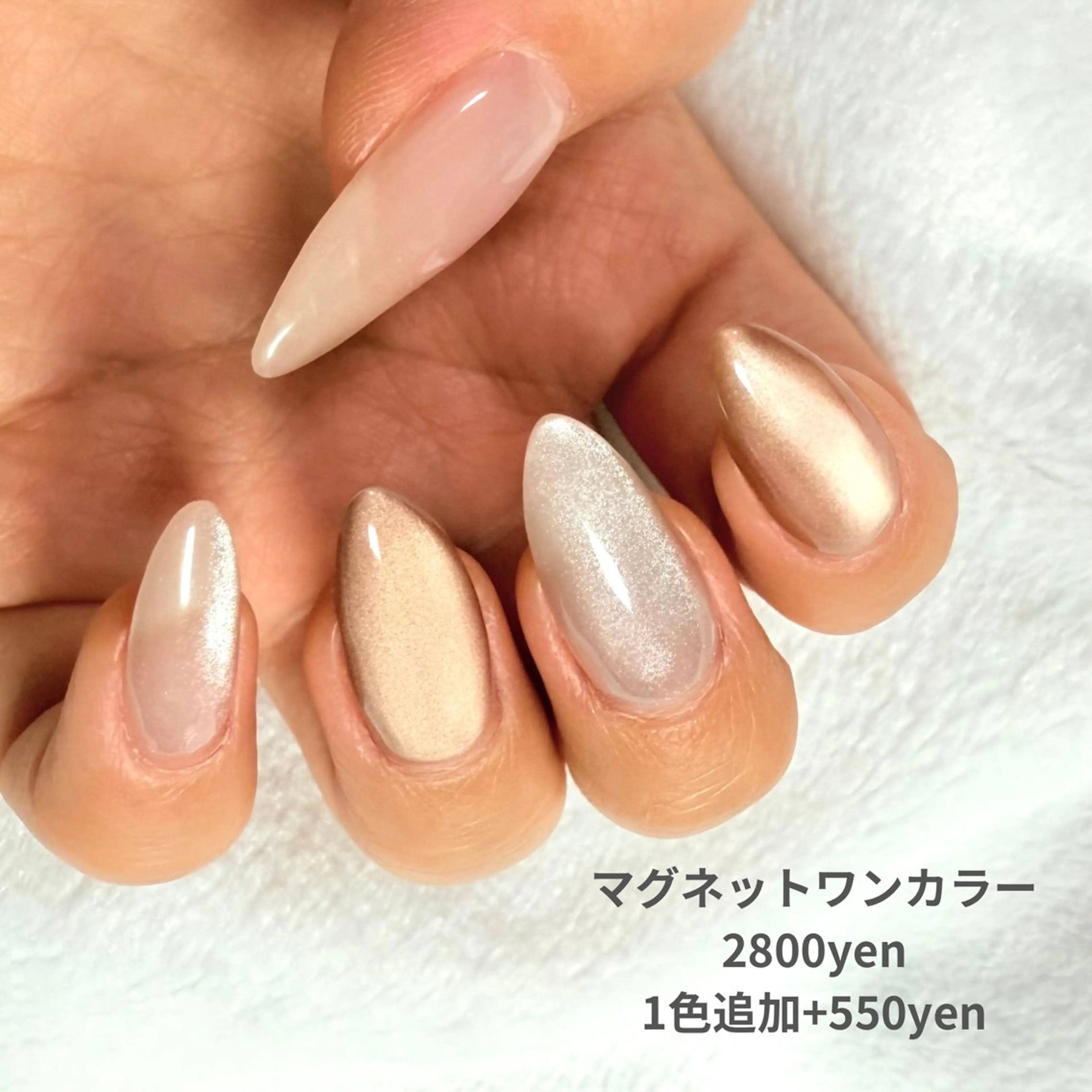 1日1名限定【オフなし】マグネットネイル/ワンカラー 2800円 1色追加+550の写真