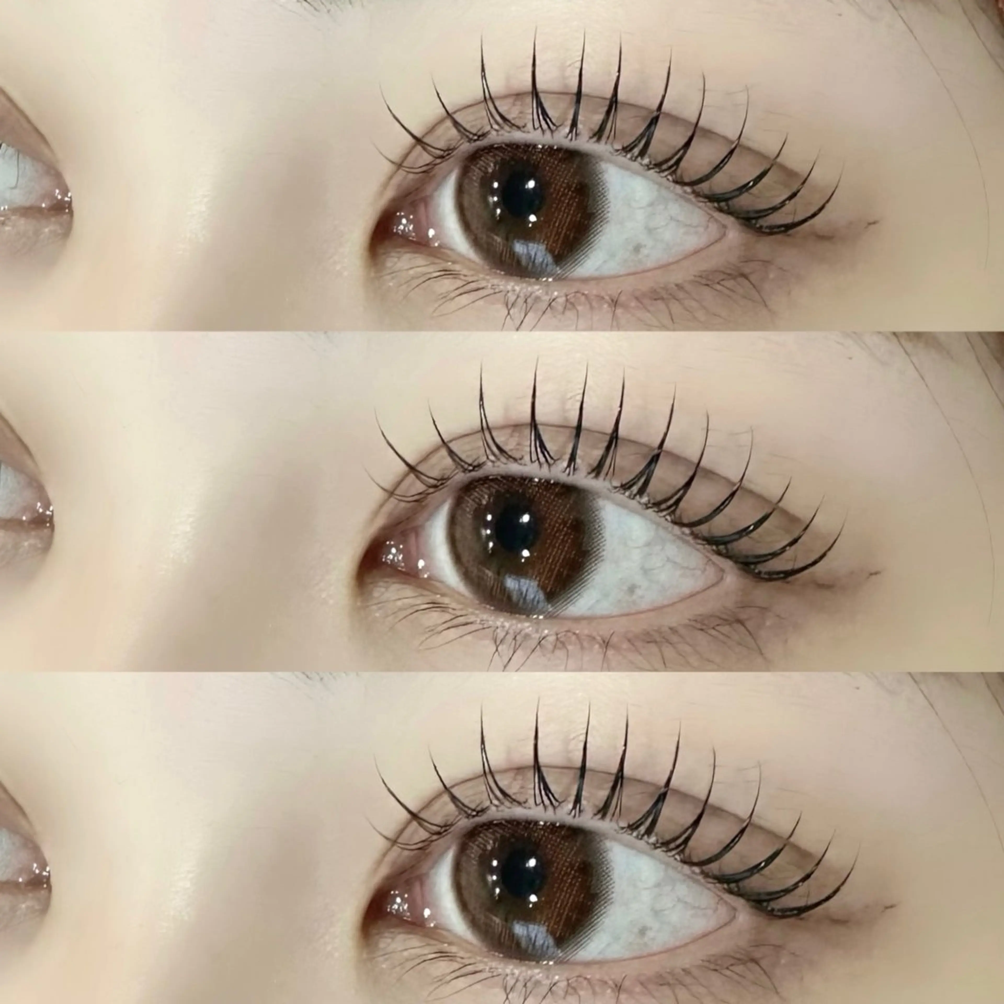 🪧《まつ毛パーマ》＋《美眉ワックス脱毛》の写真