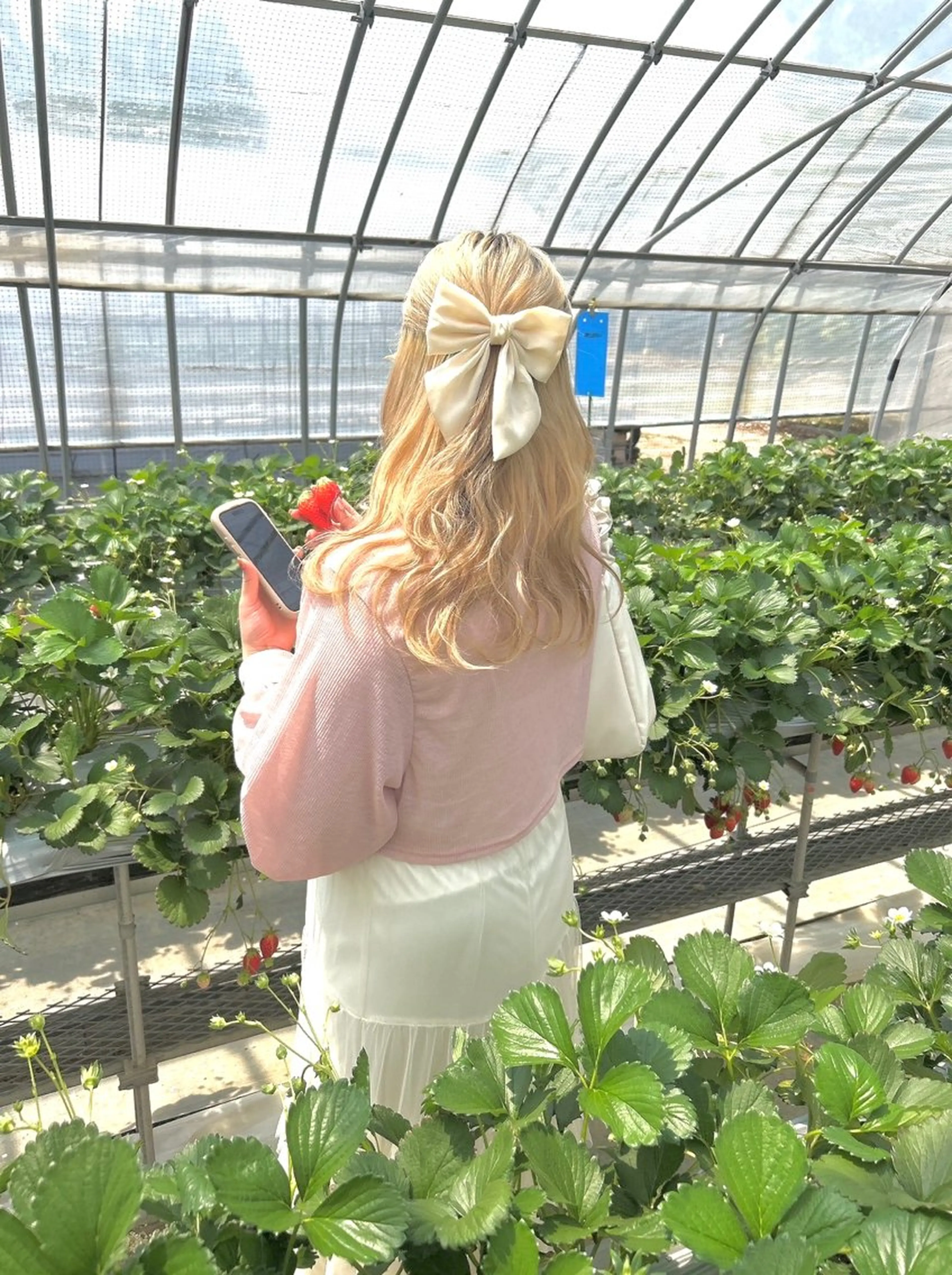 Parve Mix￤ 石原 響子🧸のヘアスタイル