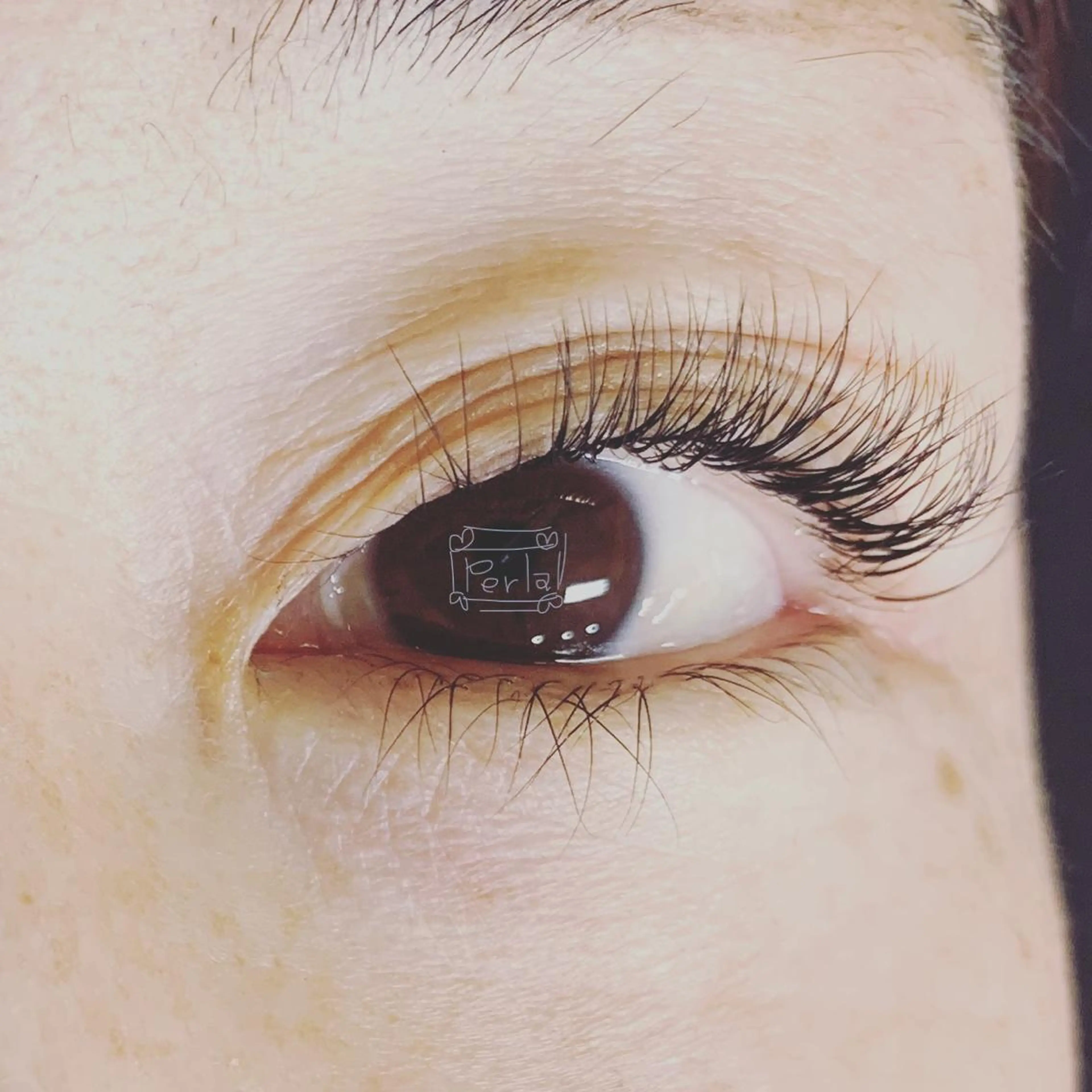 マツエク・マツパ DRESS (ドレス)のマツエク・マツパデザイン