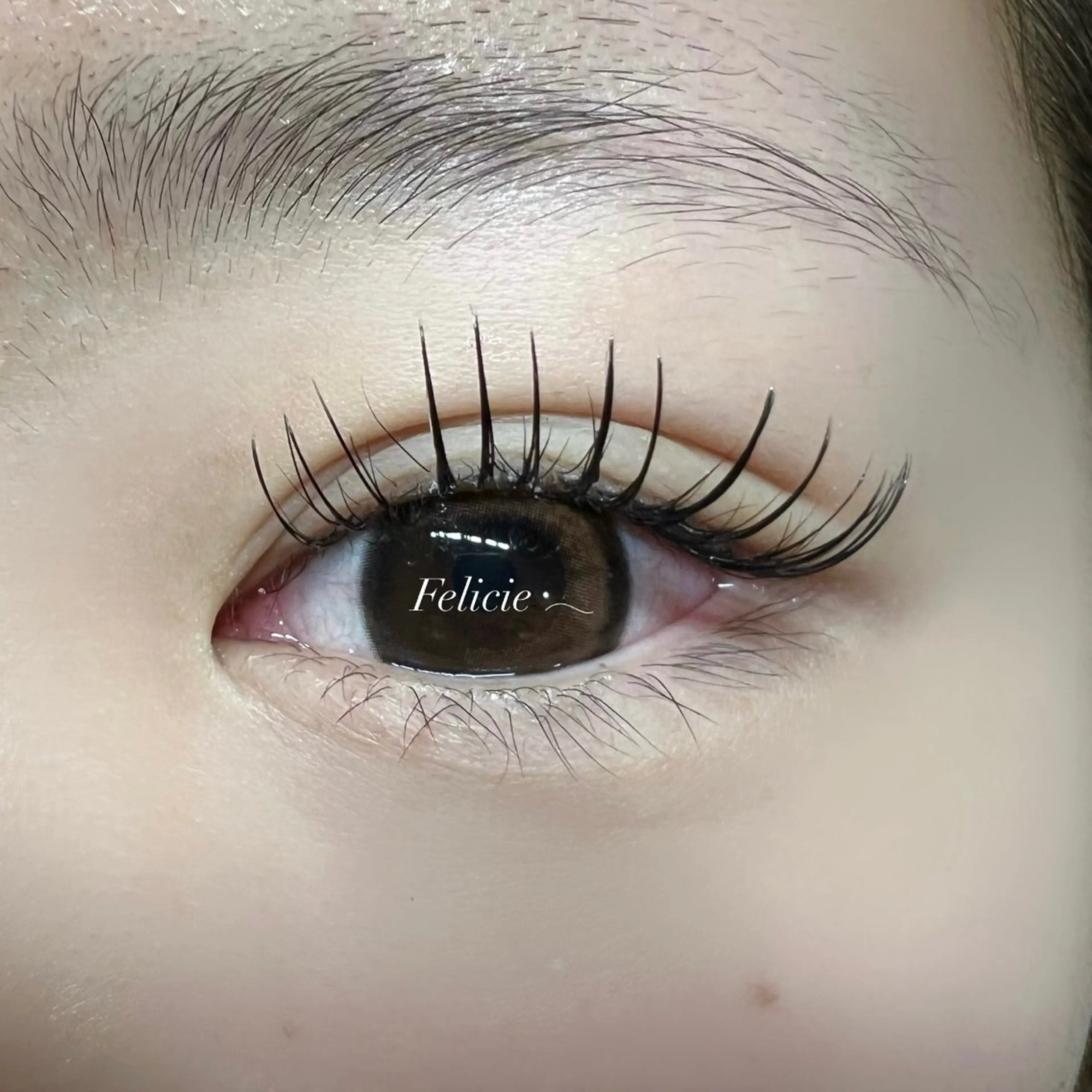 マツエク・マツパ マツエク Felicie＊ Sayakaのマツエク・マツパデザイン