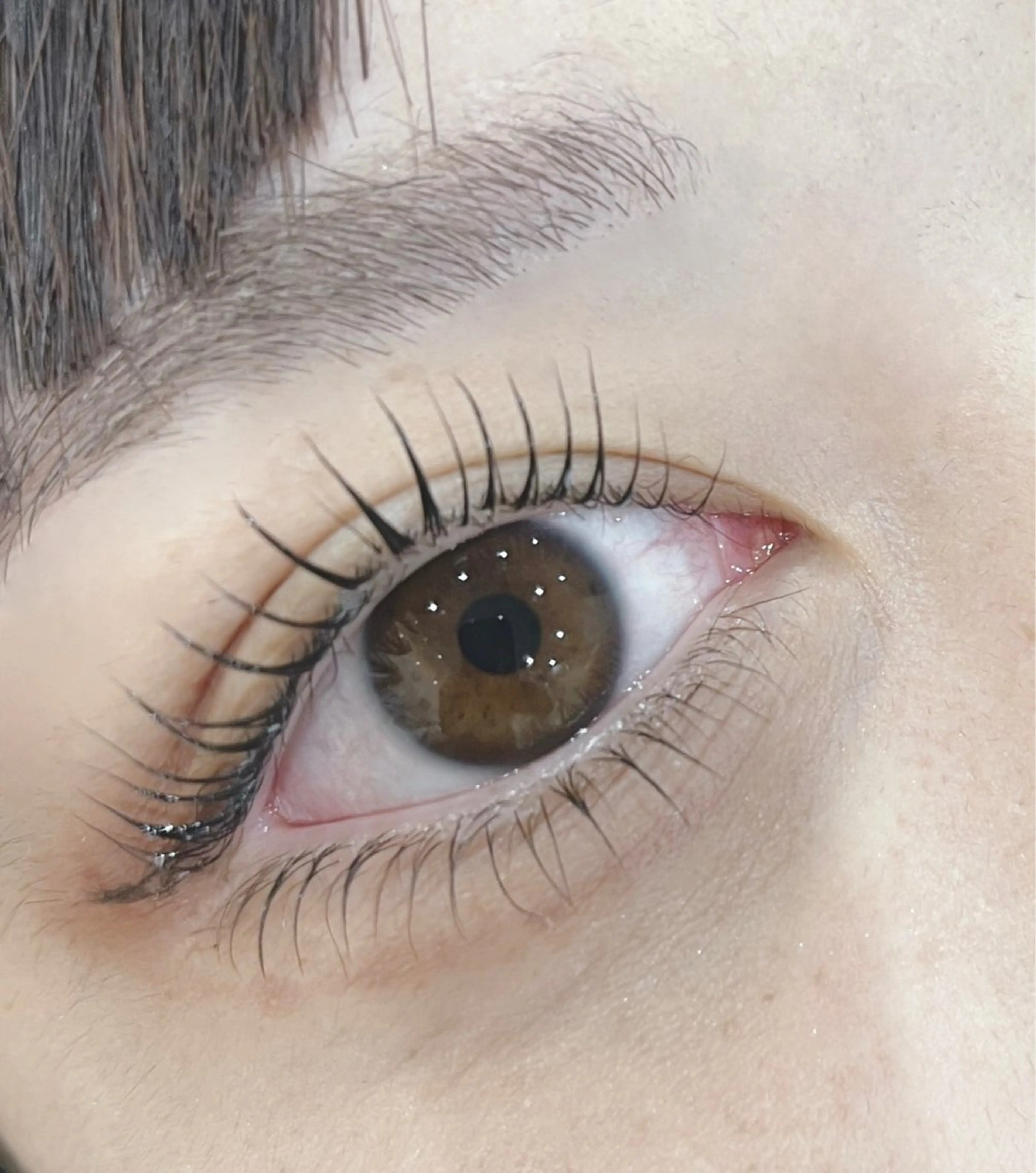 マツエク・マツパ マツパ IIJIMA /まつパ/パリ/束感のマツエク・マツパデザイン