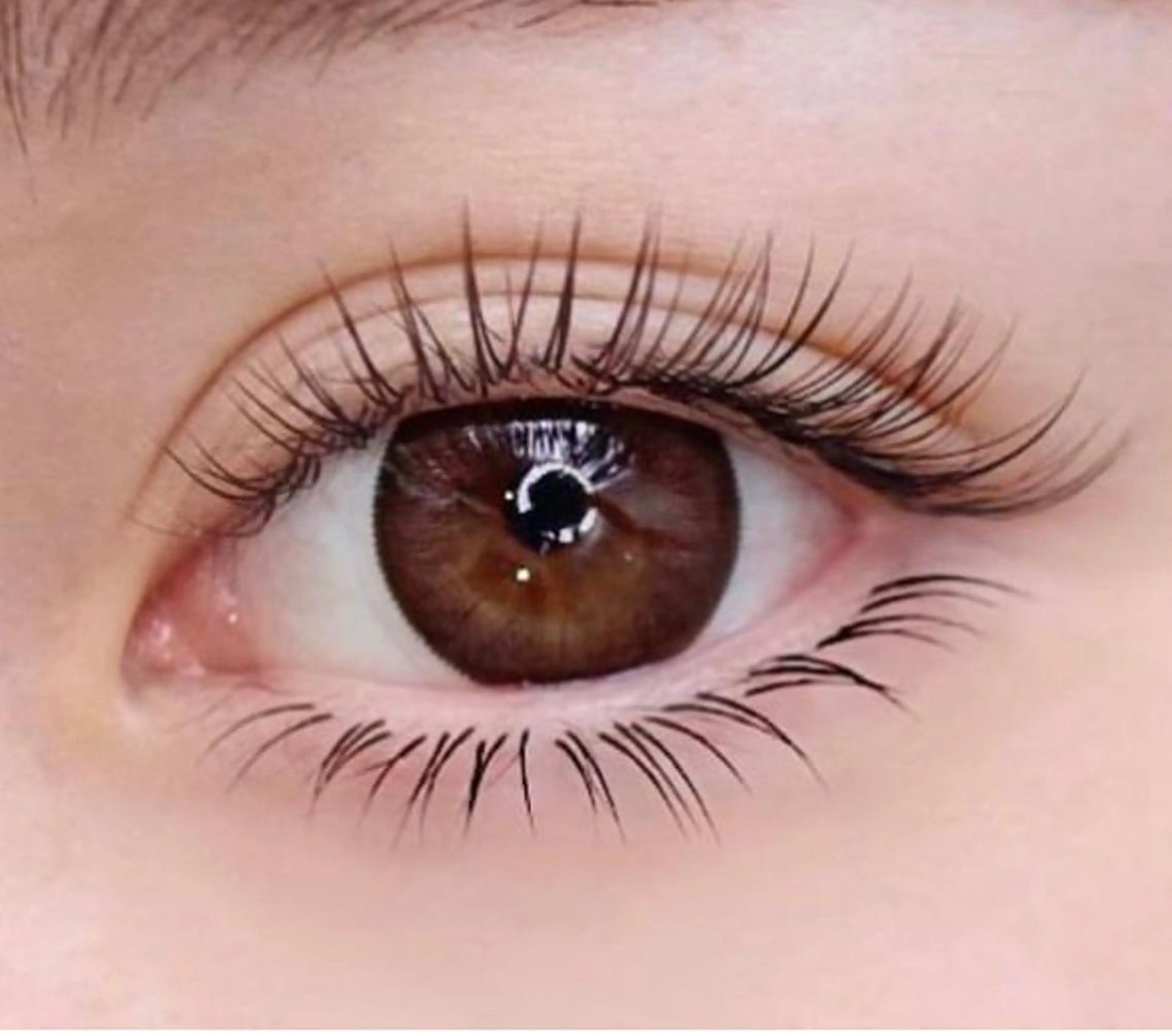 長持ちフラットラッシュ100本の写真