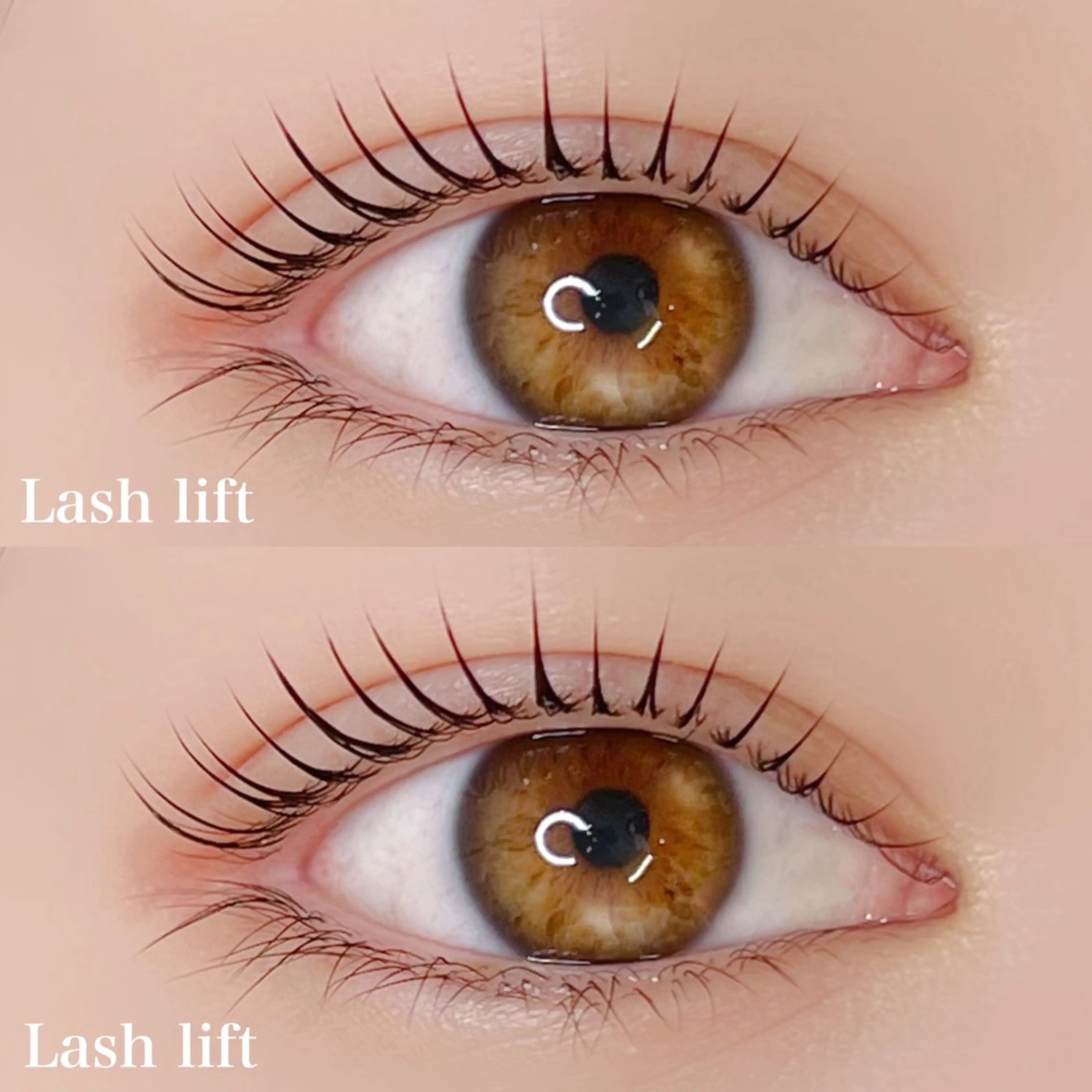 『 大人気 』🎀 次世代まつ毛パーマ【 上 】🫧の写真