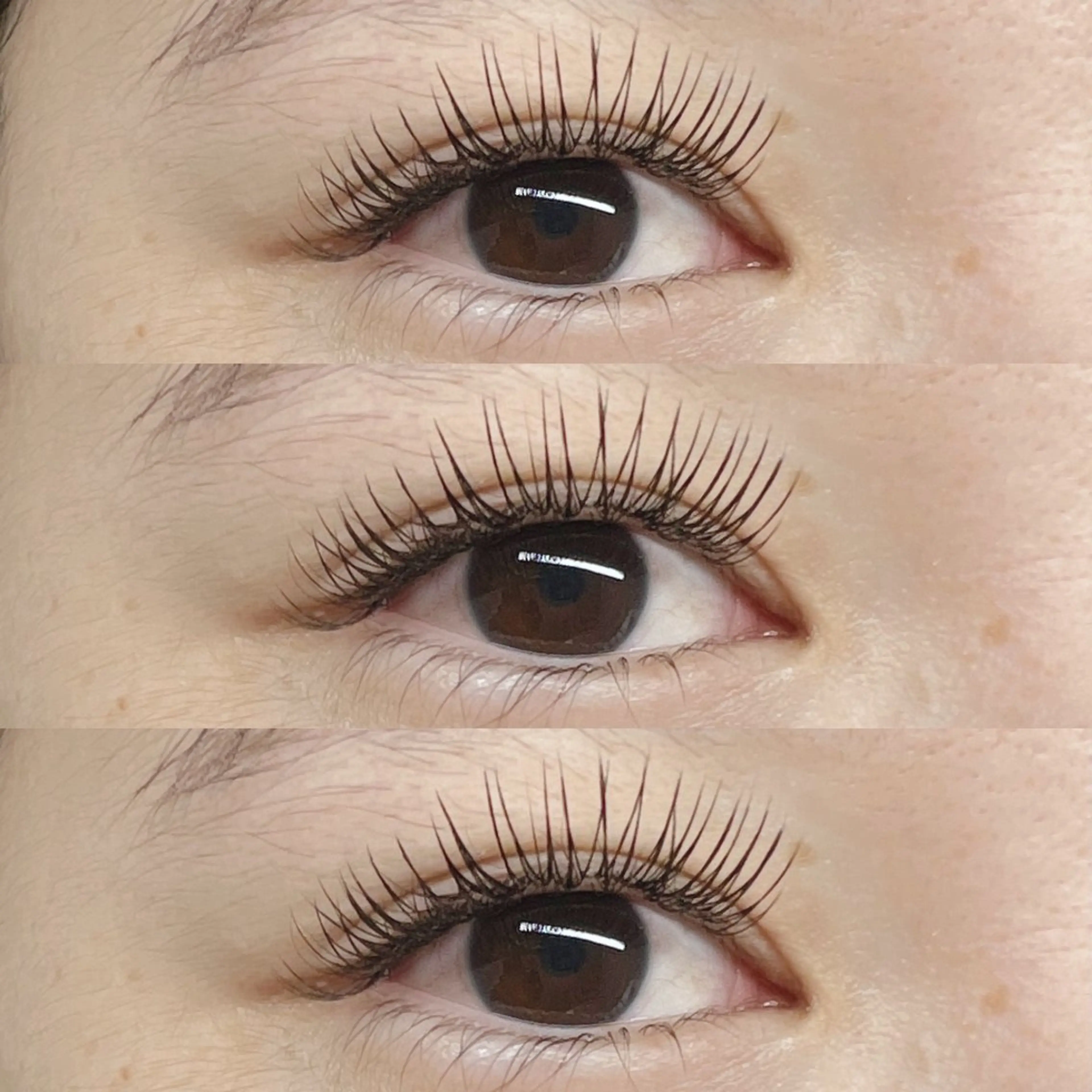 マツエク・マツパ マツエク Eyelash Hauoliのマツエク・マツパデザイン