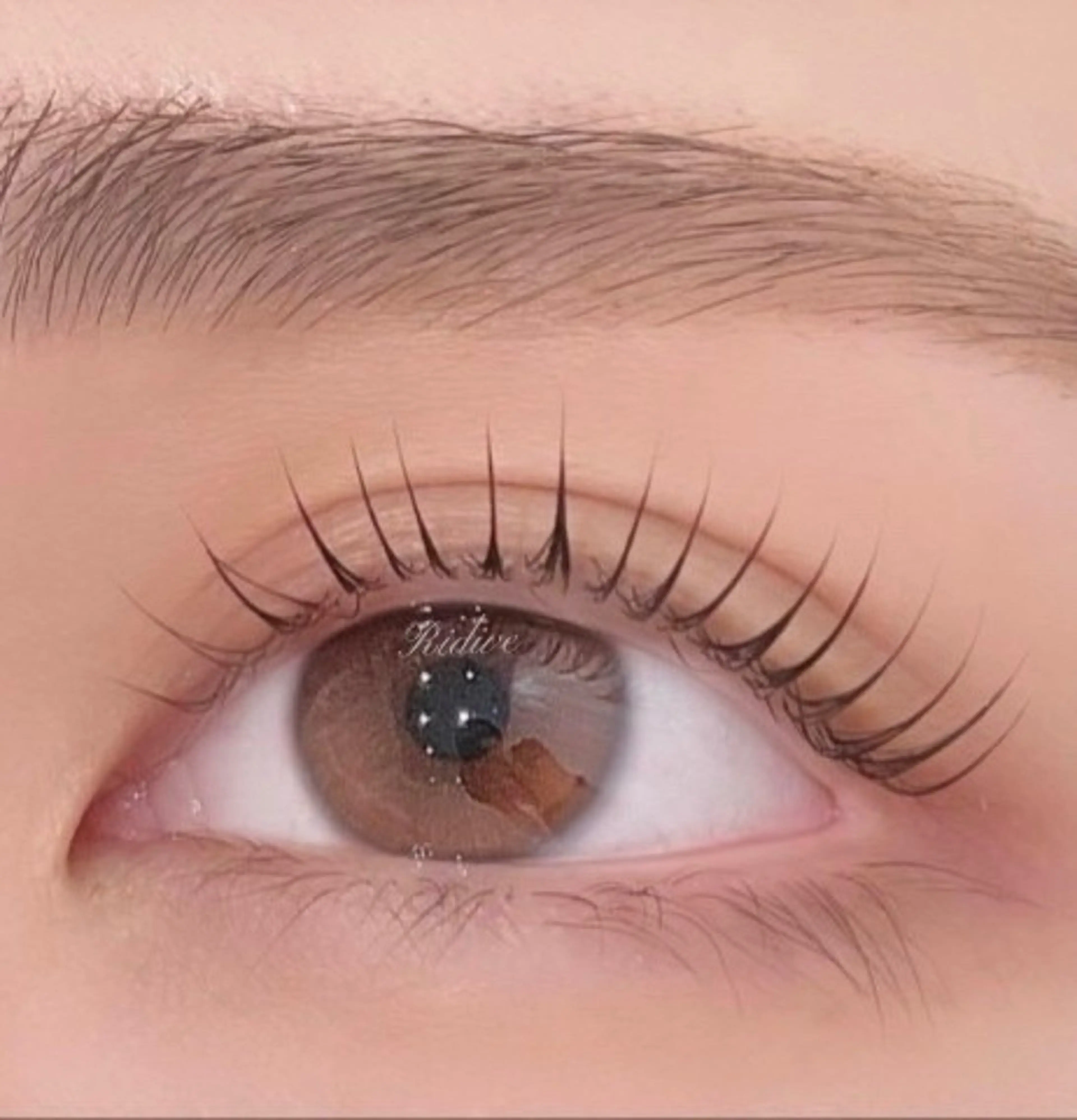 マツエク・マツパ マツパ Ridive池袋店【アイラッシュ&眉毛専門店】所属・Ridive Kanna🌼のマツエク・マツパデザイン