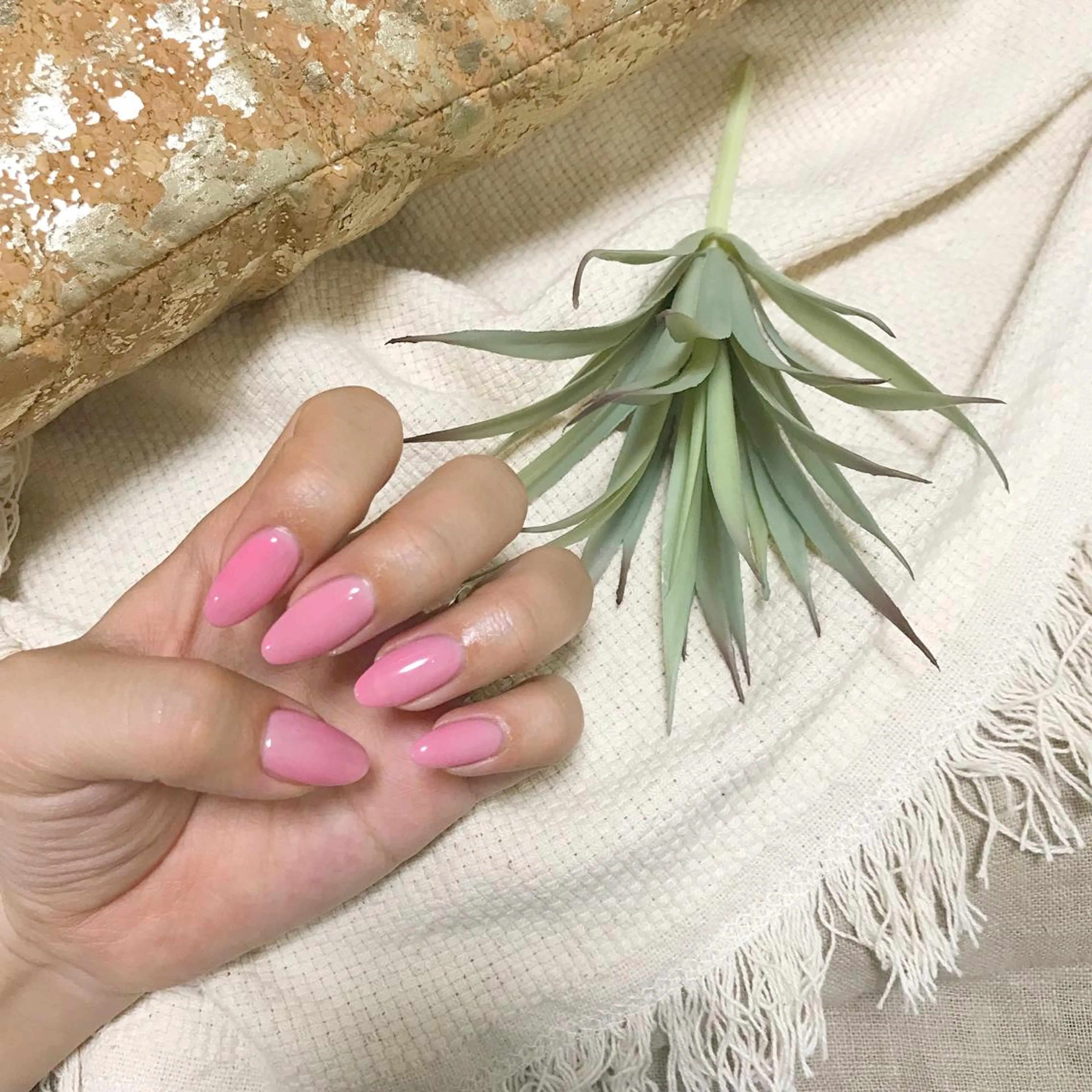 ワンカラーの写真