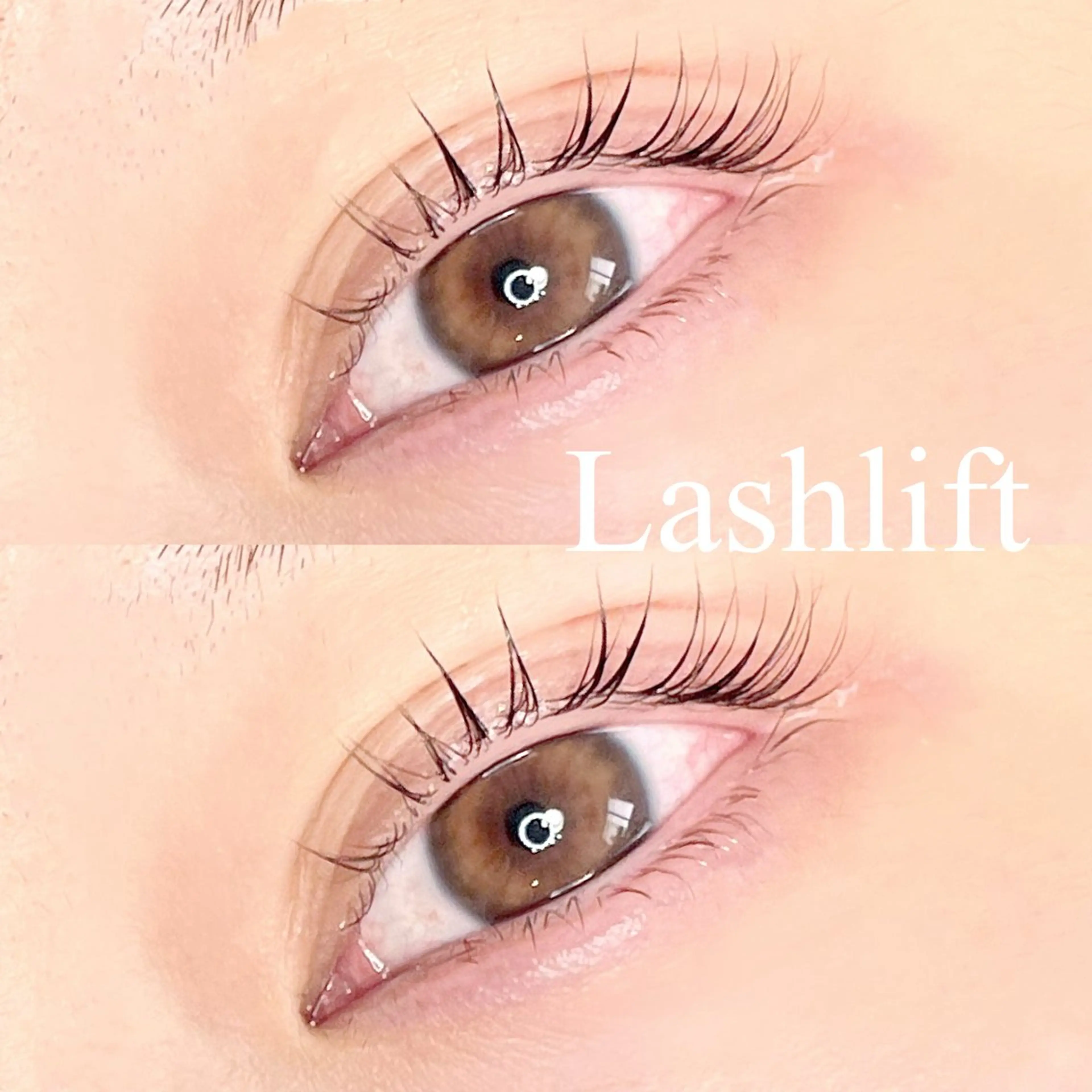 マツエク・マツパ Palm アイサロンパルムの眉毛・アイブロウイメージ