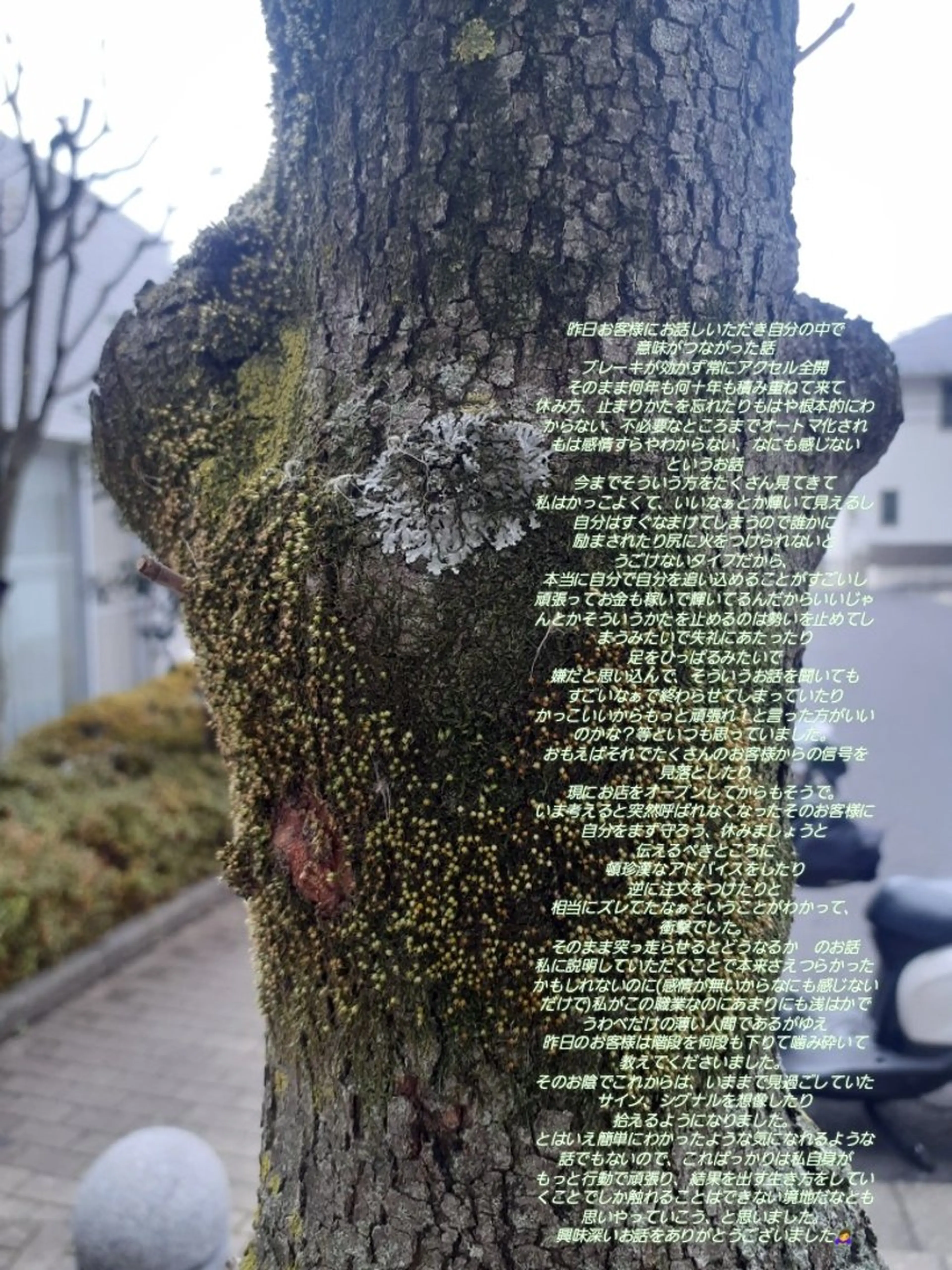 千の樹所属・久保 美咲(女性専用)のエステ・リラクイメージ