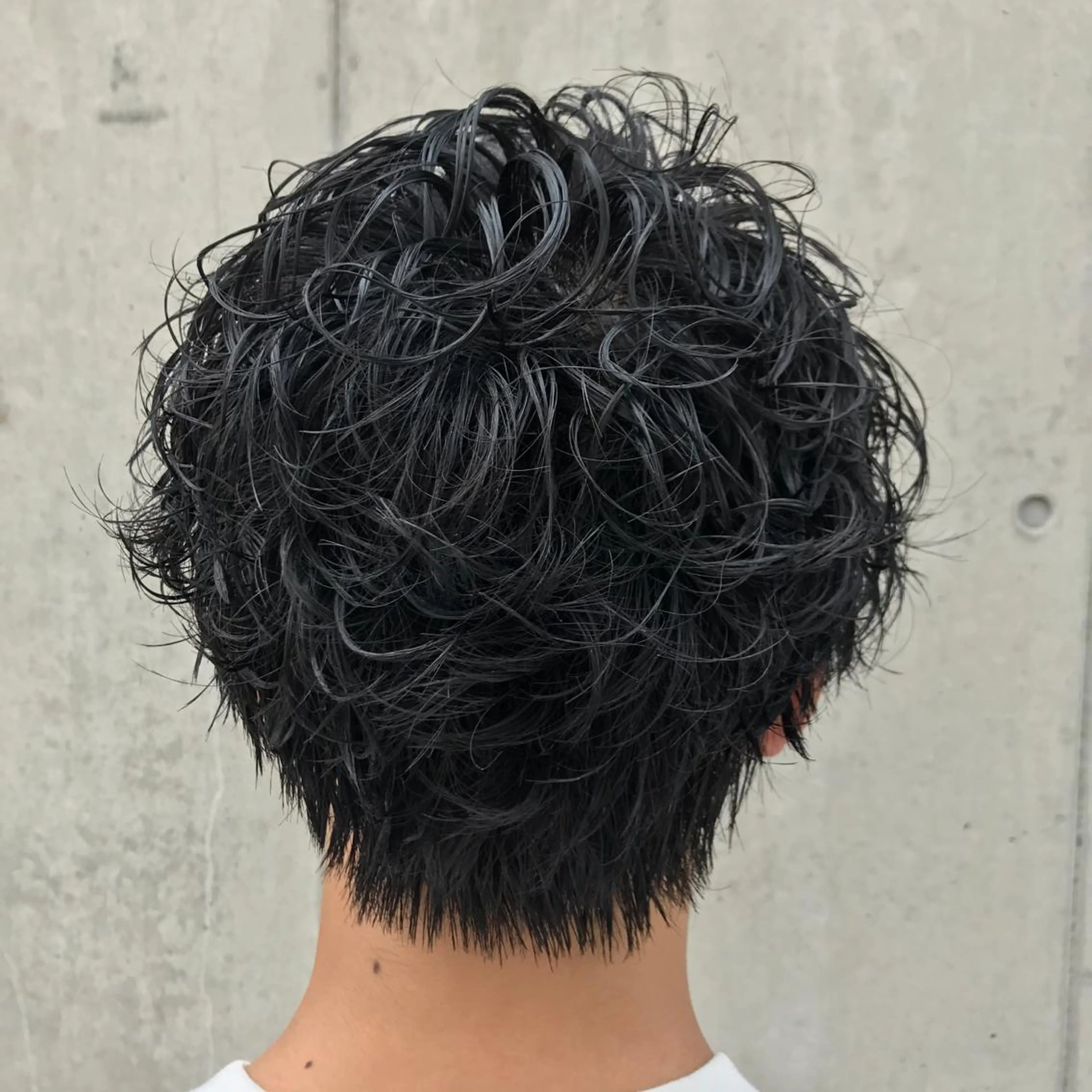 ショート パーマ メンズ 住本 大明のヘアスタイル