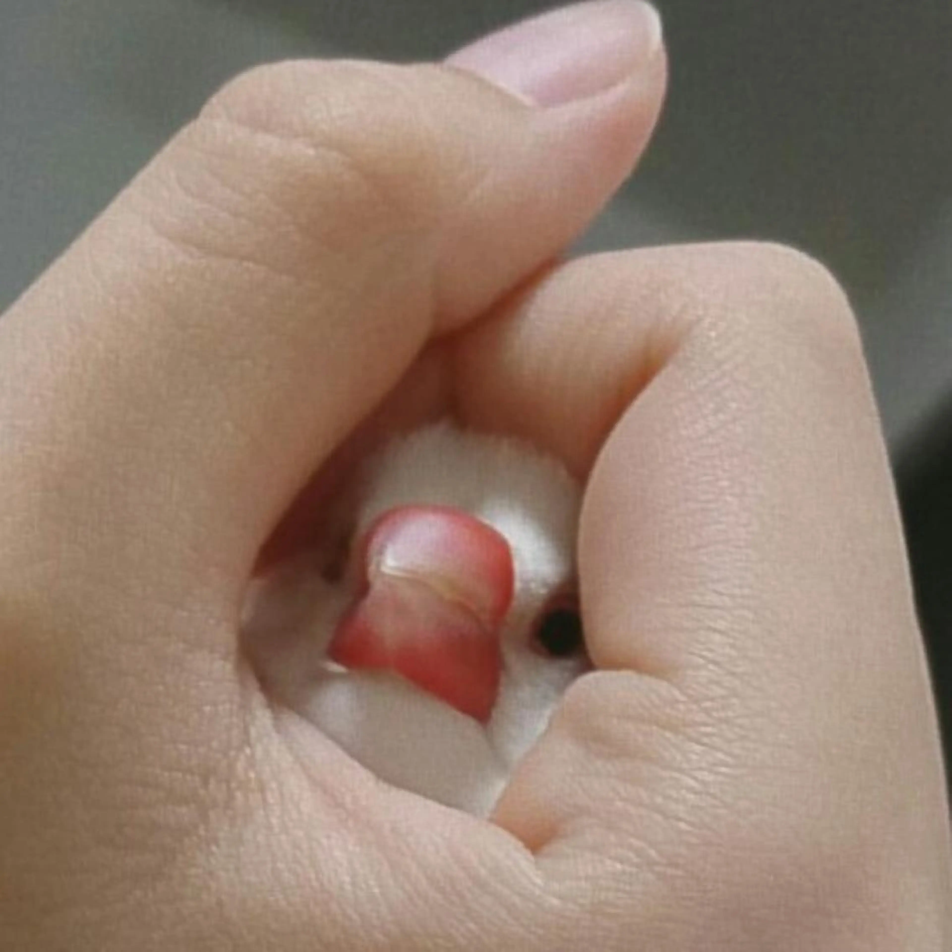 g*rossa高橋 くみこのエステ・リラクイメージ