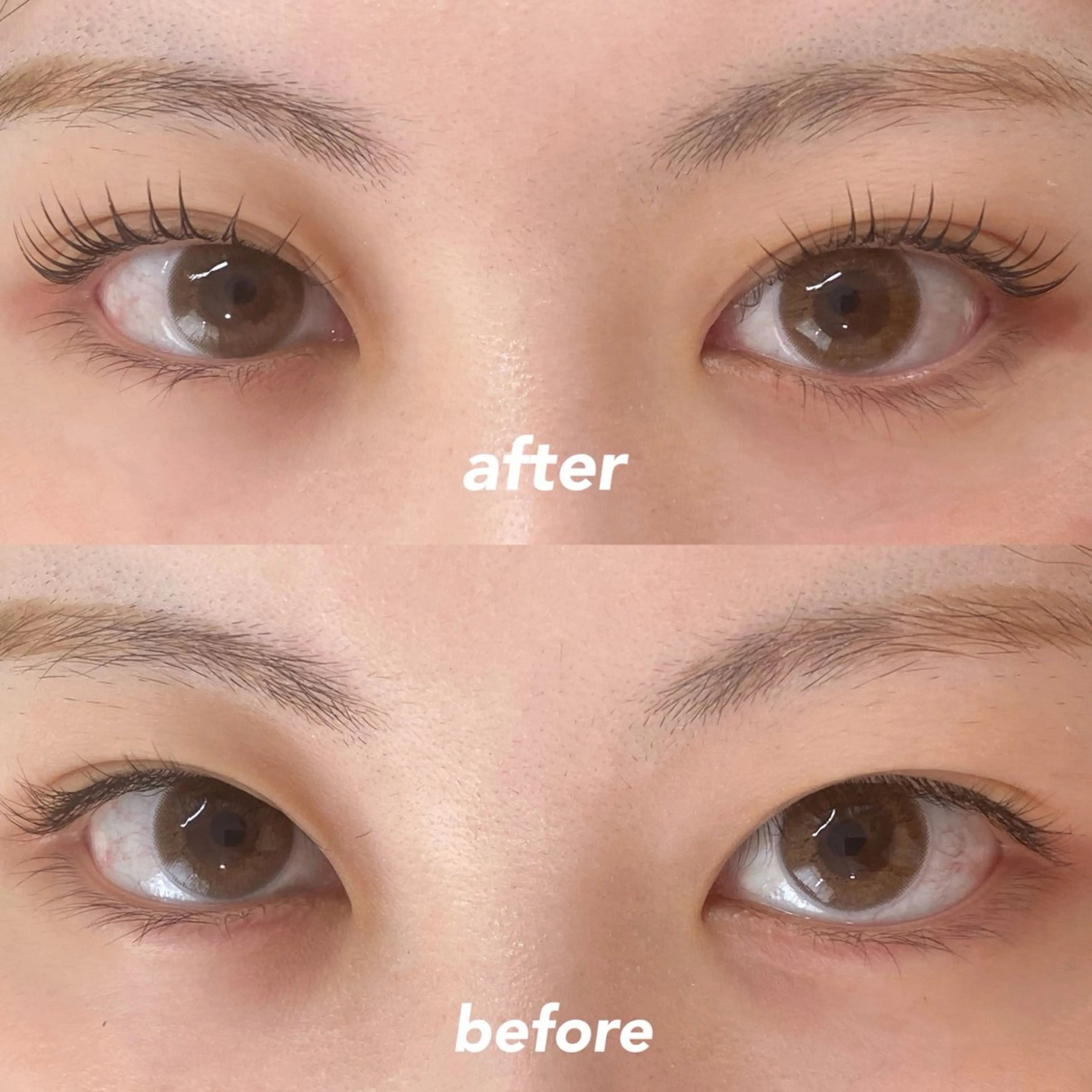 マツエク・マツパ 束感まつげ/パリエク 🧸sakuraのマツエク・マツパデザイン