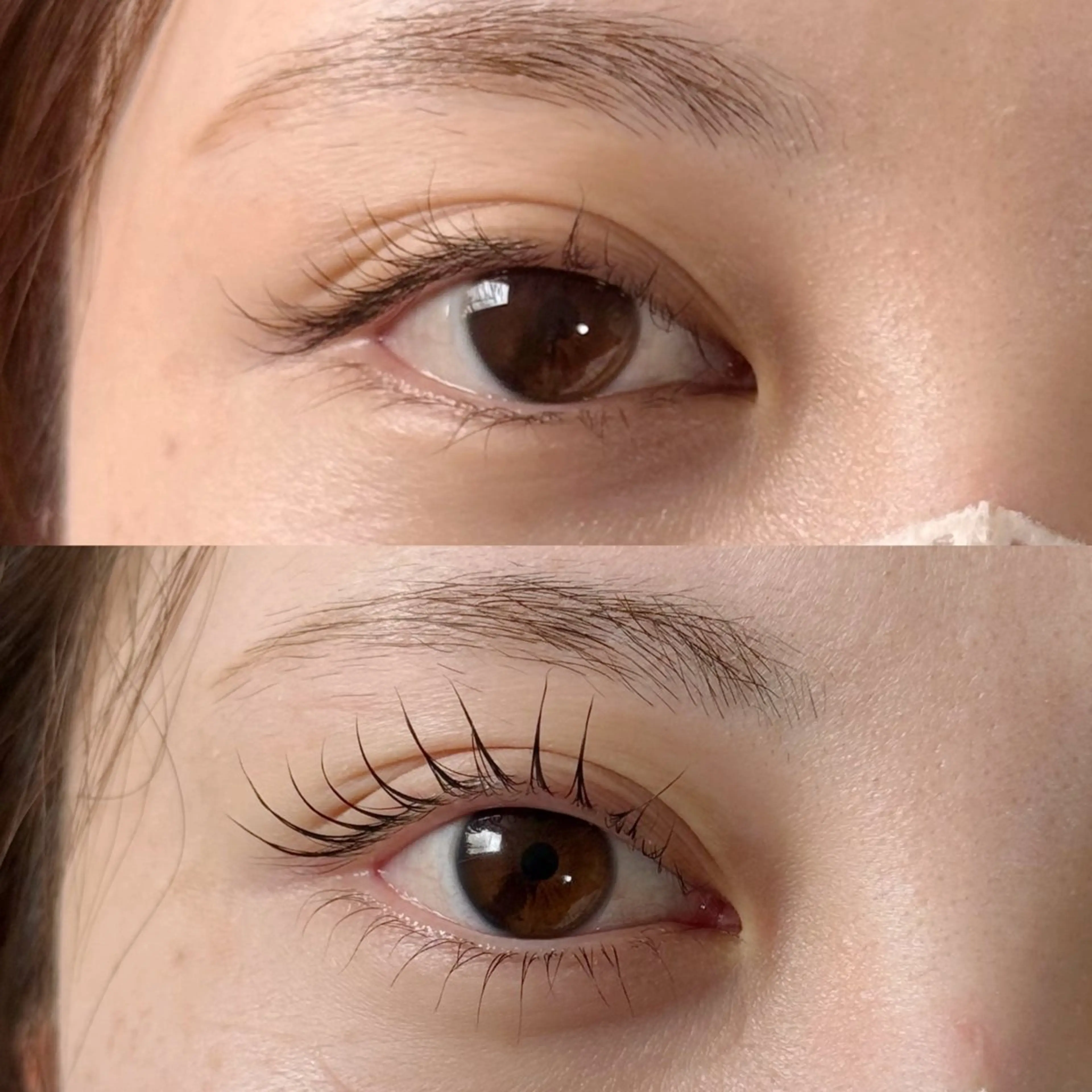 【上下まつげパーマor上下パリジェンヌ】🪽エクステのオフ不可･支払いは現金のみ🪽の写真