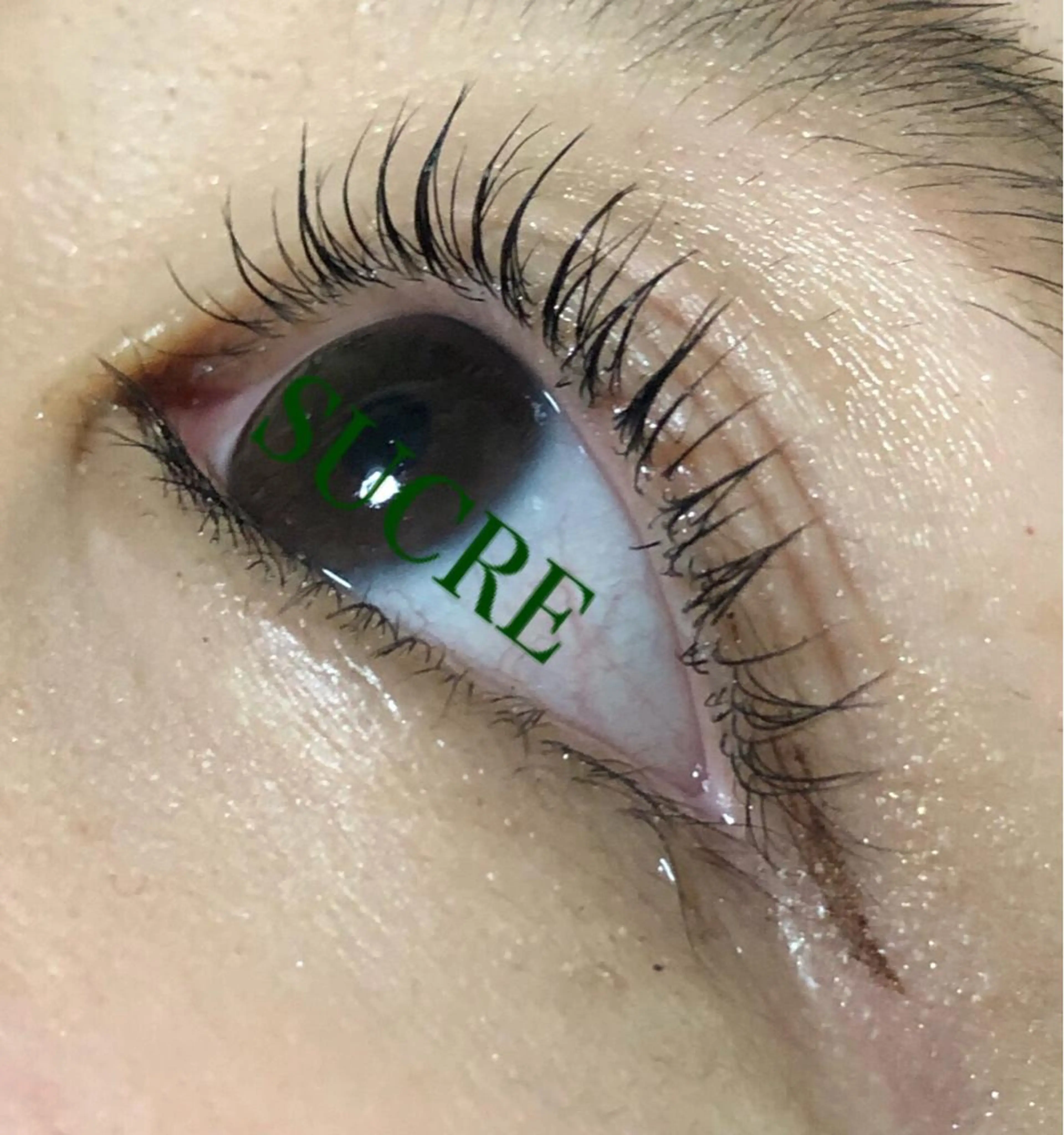 マツエク・マツパ EyelashSalon Liz.&所属・Liz.&現ino 平田のマツエク・マツパデザイン