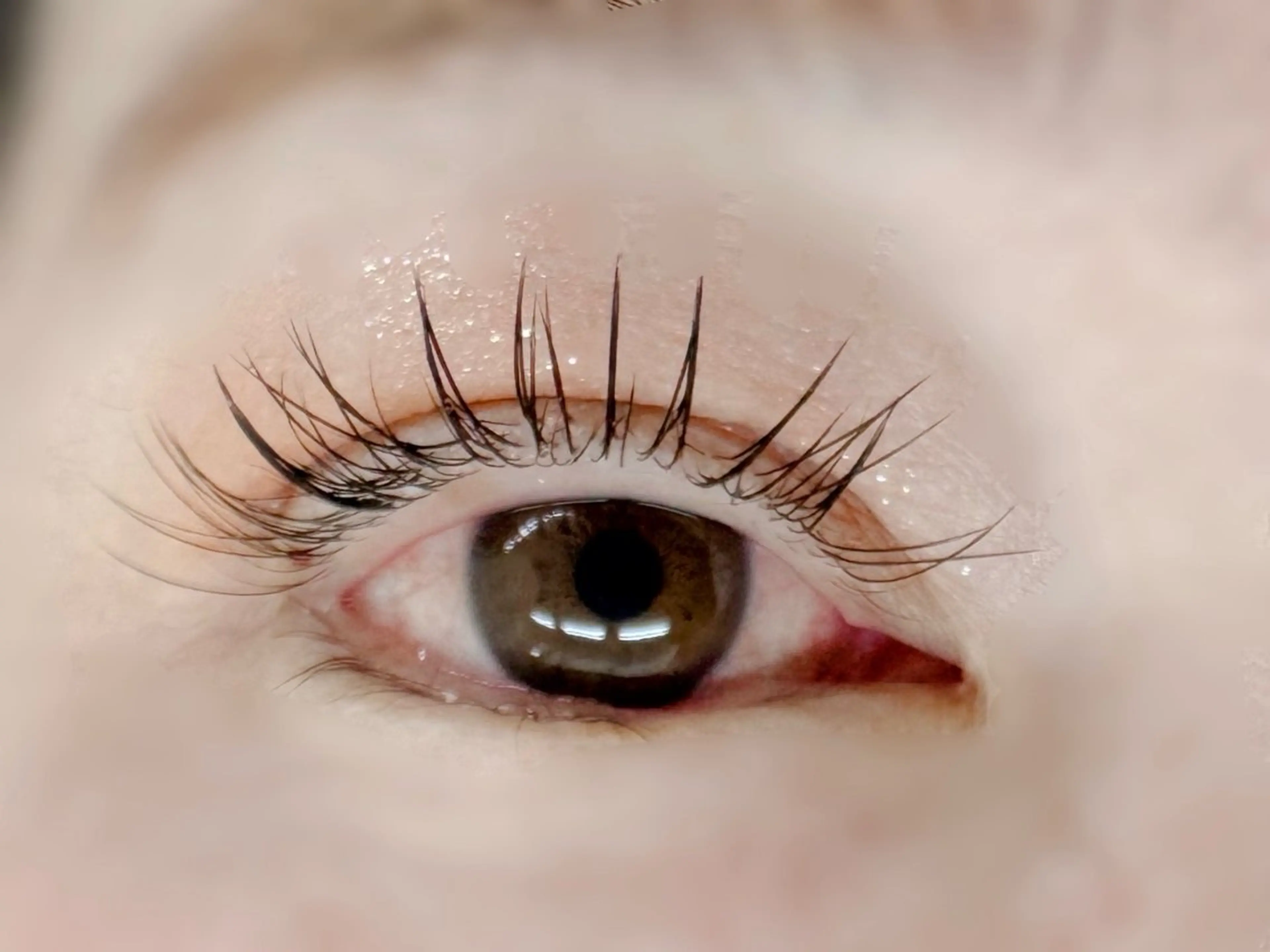 マツエク・マツパ キュート ate eyelash 和泉府中店【まつげパーマ／ラッシ ユリフト/LED/東感バインド／眉毛】所属・もり まゆみのマツエク・マツパデザイン