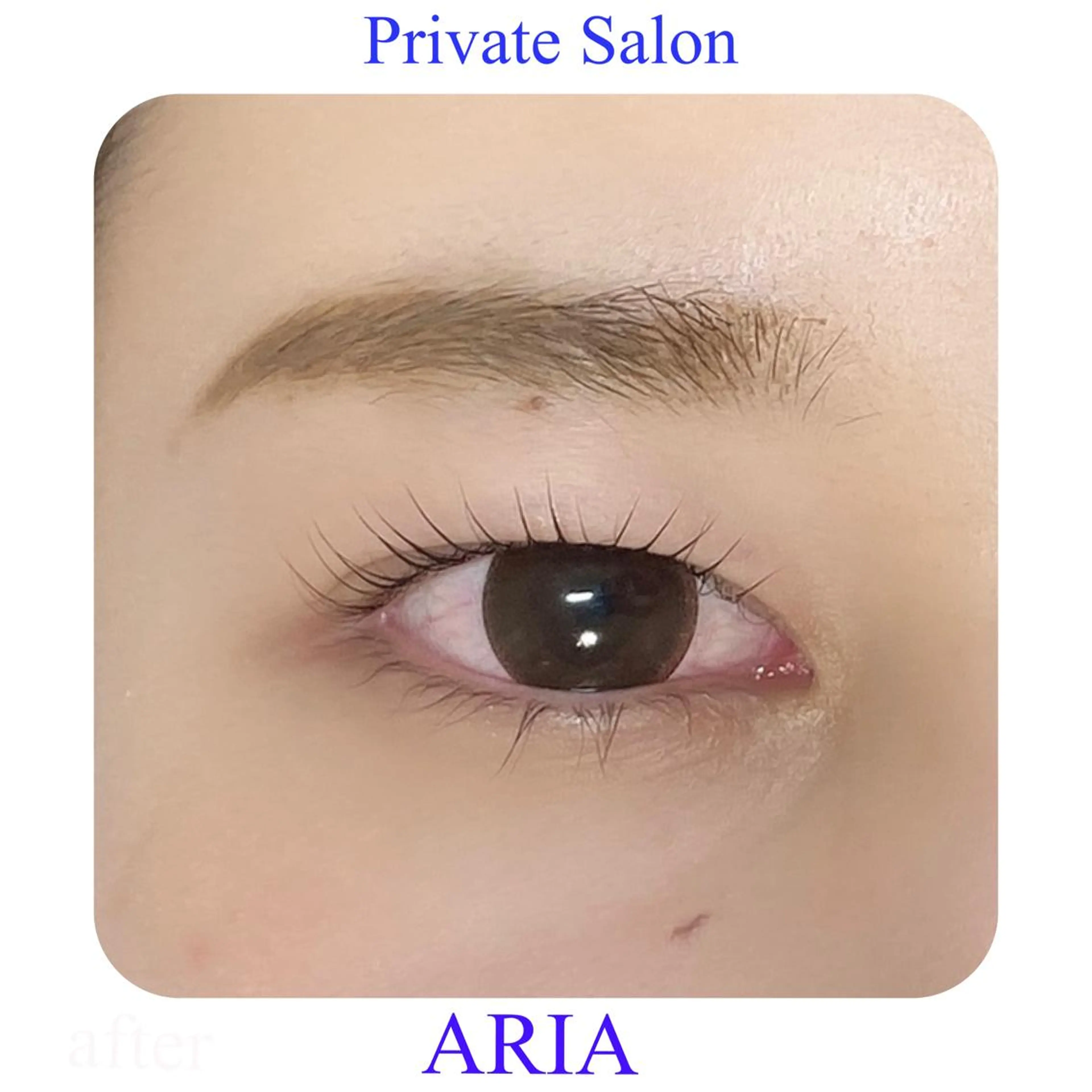 マツエク・マツパ 目尻長め マツパ ARIA所属・ARIAプライベート サロン五反田のマツエク・マツパデザイン