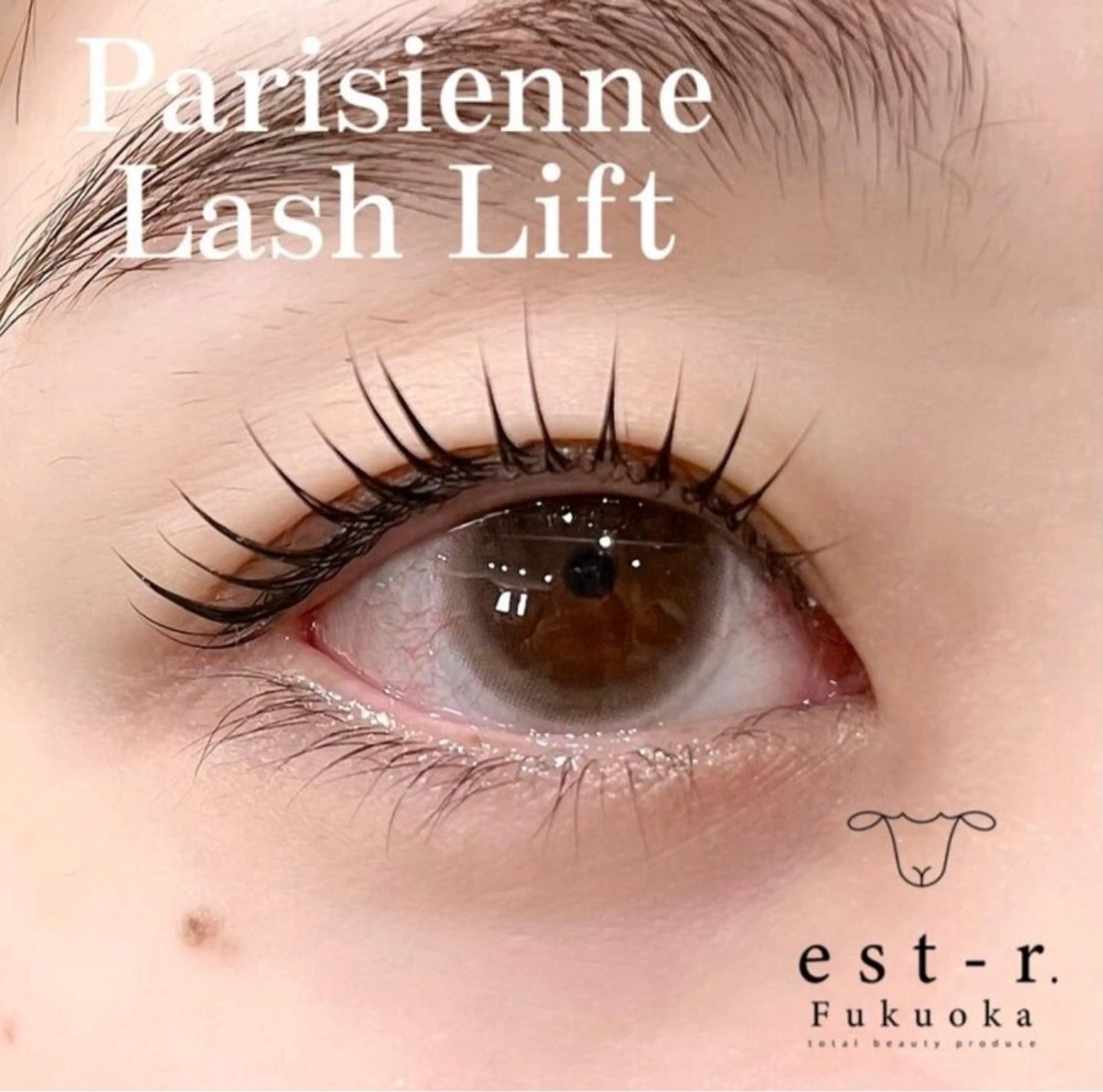 マツエク・マツパ 束感まつ毛 韓国風マツエク パリジェンヌラッシュリフト 一重×まつ毛パーマ ワンホンマツエク マツパ Riho/博多/ まつげパーマ/LEDのマツエク・マツパデザイン