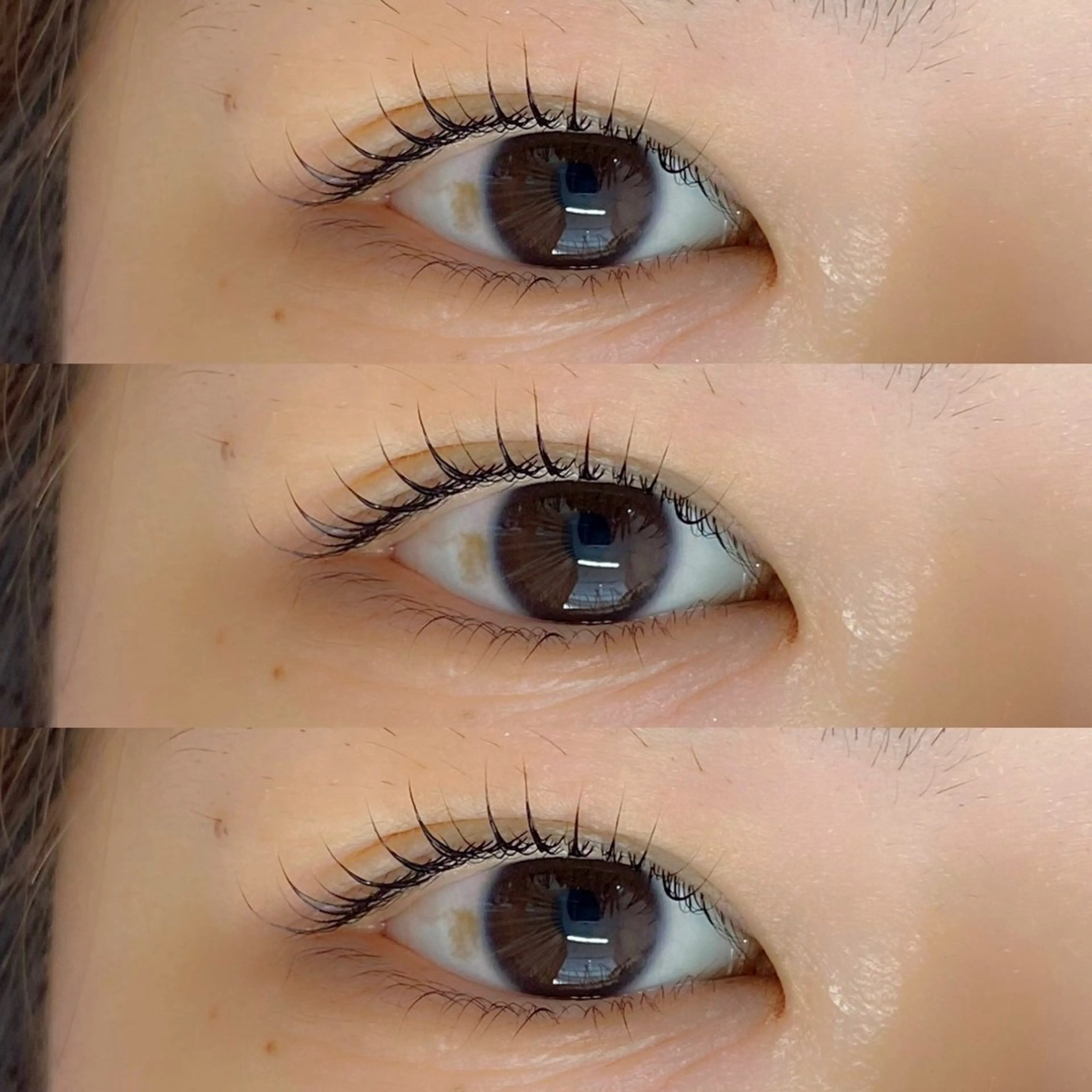 マツエク・マツパ 束感まつ毛 Cカール ナチュラル 下まつげエクステ マツパ meg .のマツエク・マツパデザイン