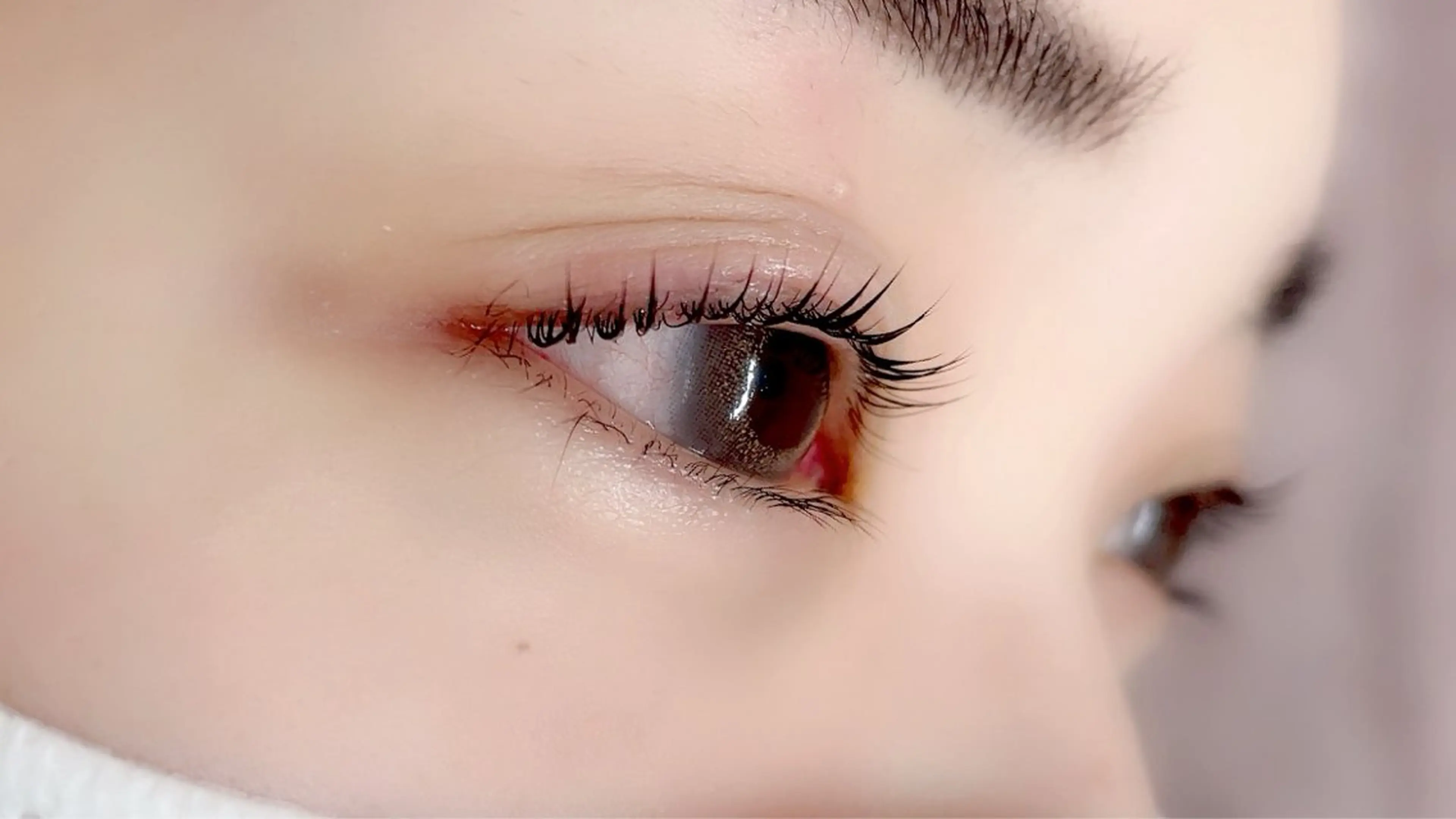 マツエク・マツパ パリジェンヌラッシュリフト Morganite 🦋 ÿui 🦋のマツエク・マツパデザイン