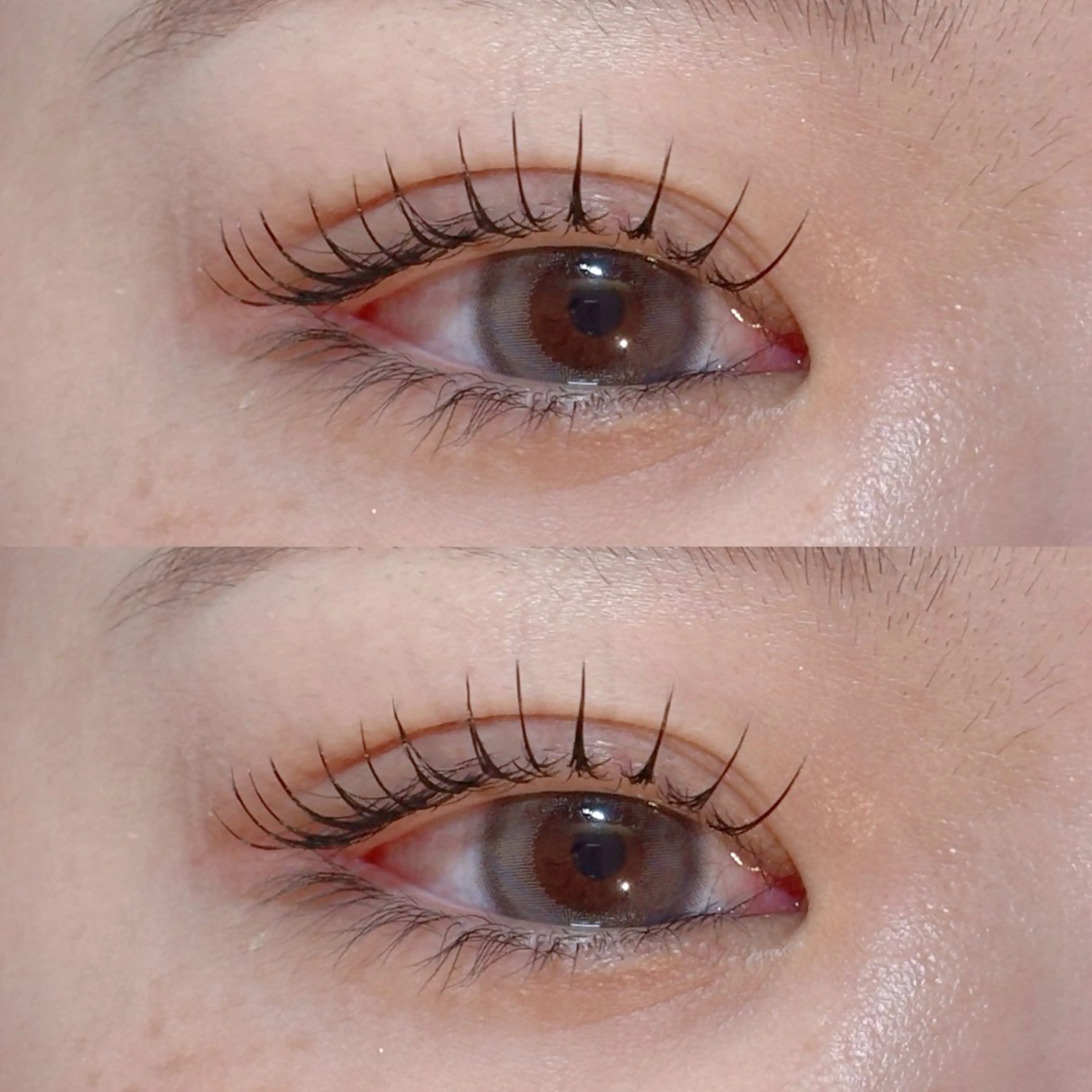 【新メニュー・✨エクパ✨】LEDエクステ100本＋上まつ毛パーマの写真