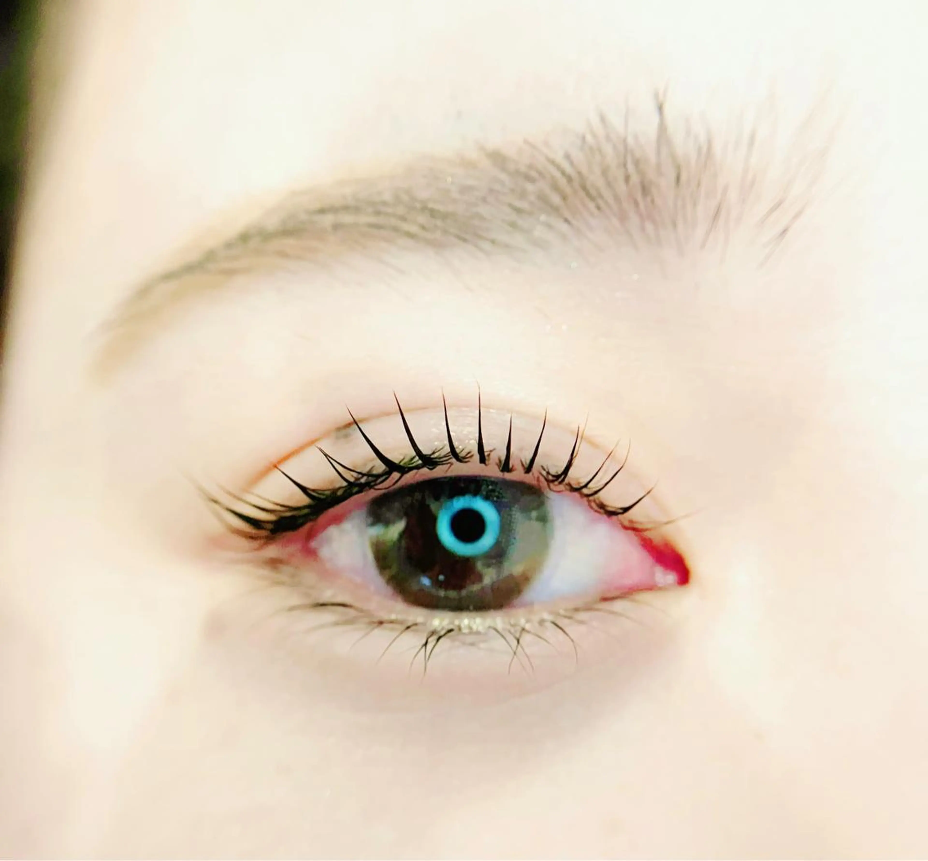 マツエク・マツパ マツパ Vif【ヴィフ】所属・【 Vif 】 SHIORIのマツエク・マツパデザイン