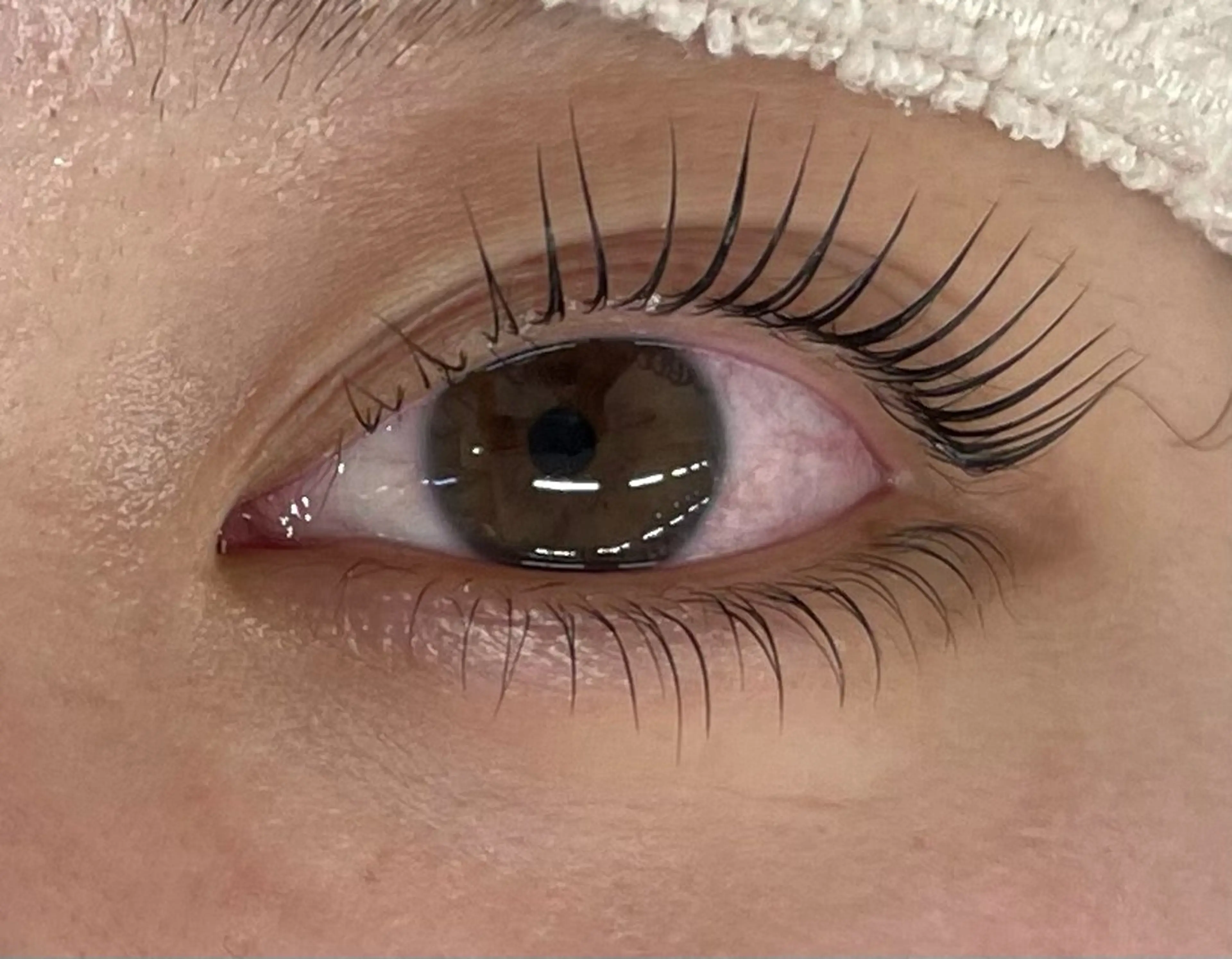 マツエク・マツパ 下まつげエクステ マツパ マリーテレジア 🌻RUKAのマツエク・マツパデザイン